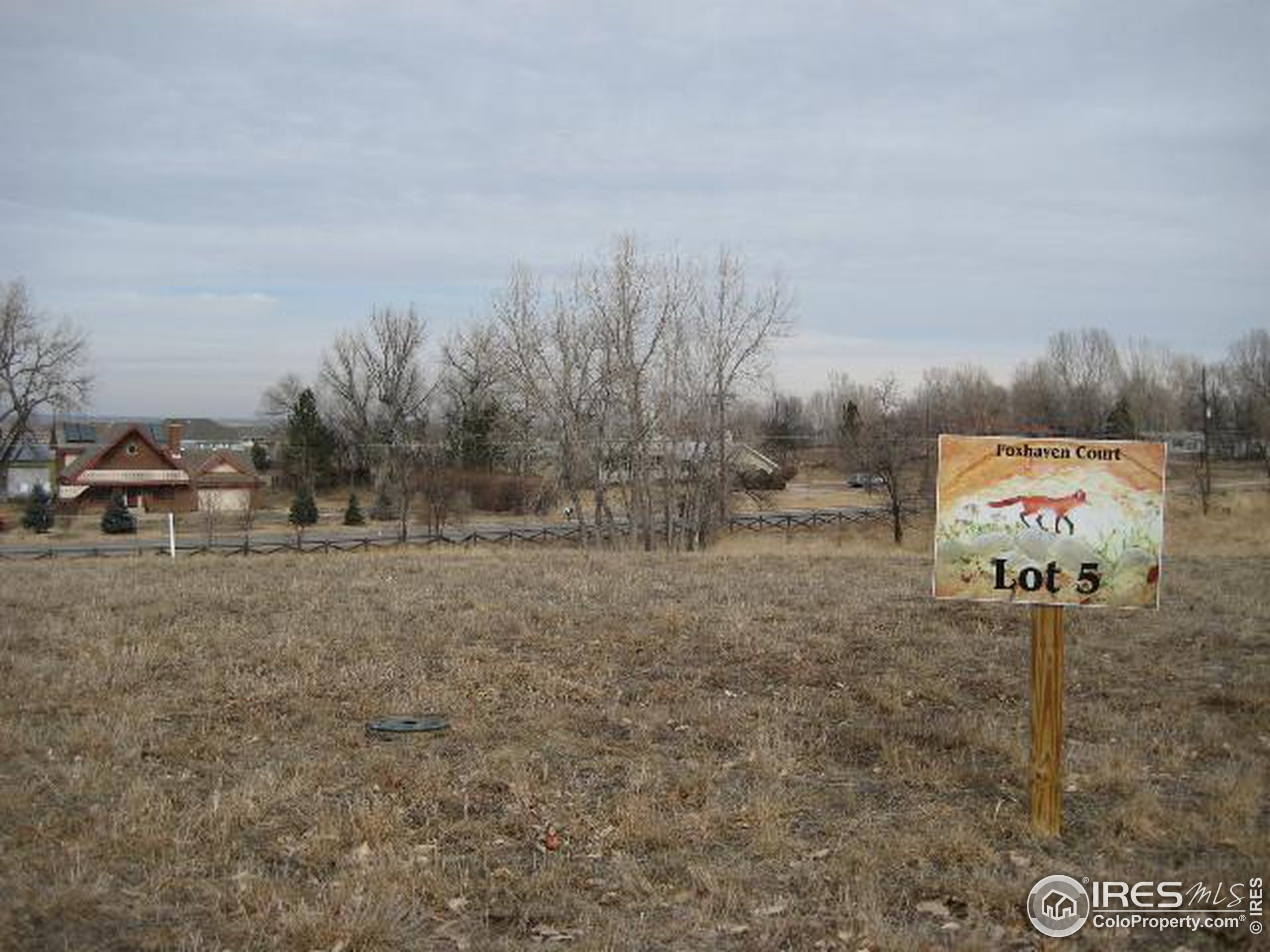 Foxhaven Ct, Longmont, CO 80503 #1