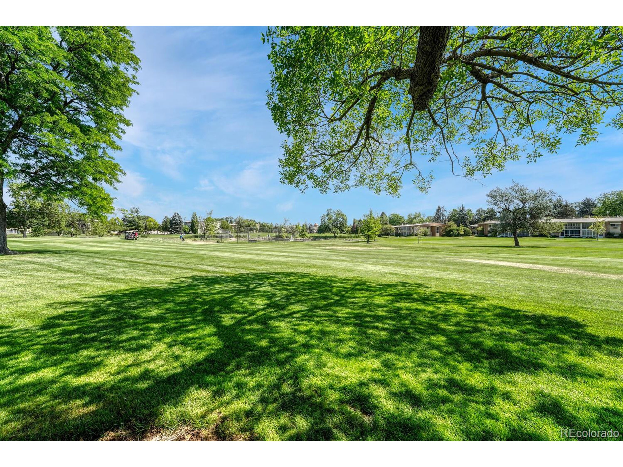 Alton Way, Denver, CO 80247