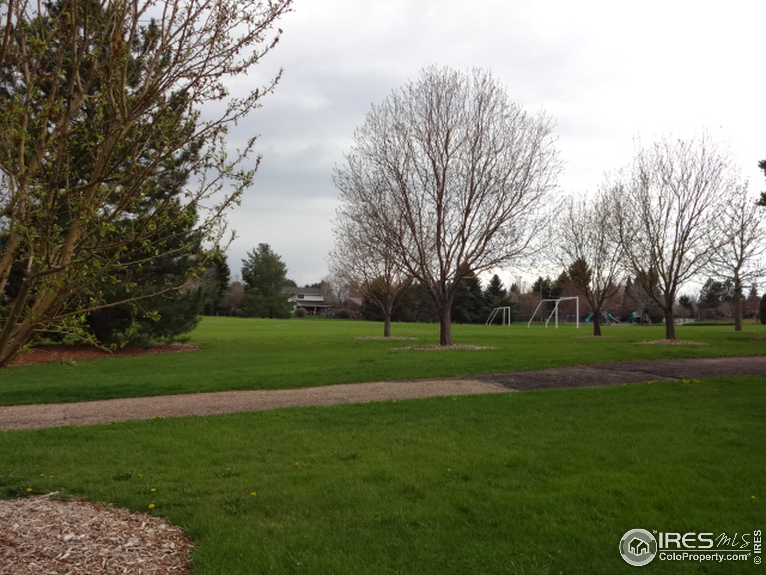 Lehigh Ave, Denver, CO 80235 #1