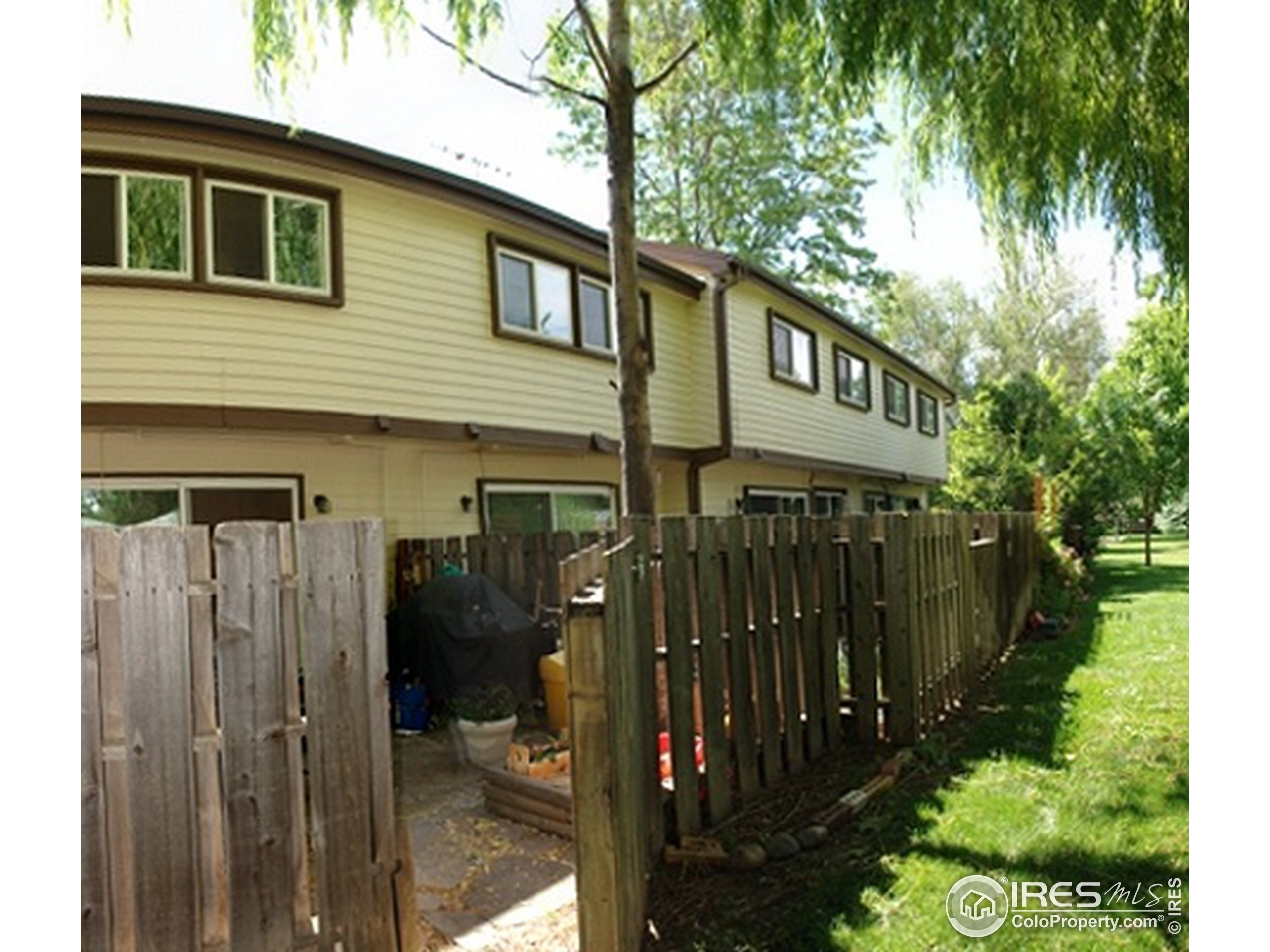 10th St, Loveland, CO 80537 #1