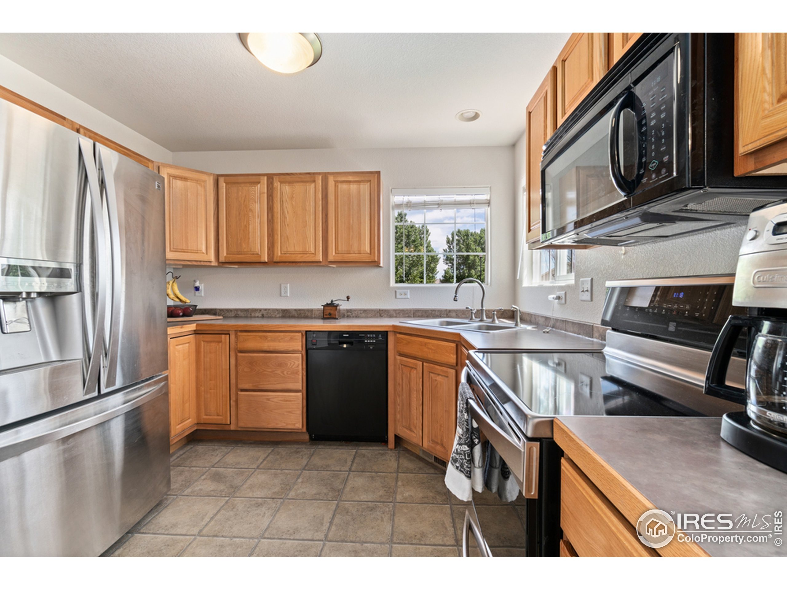 Raleigh St, Wellington, CO 80549