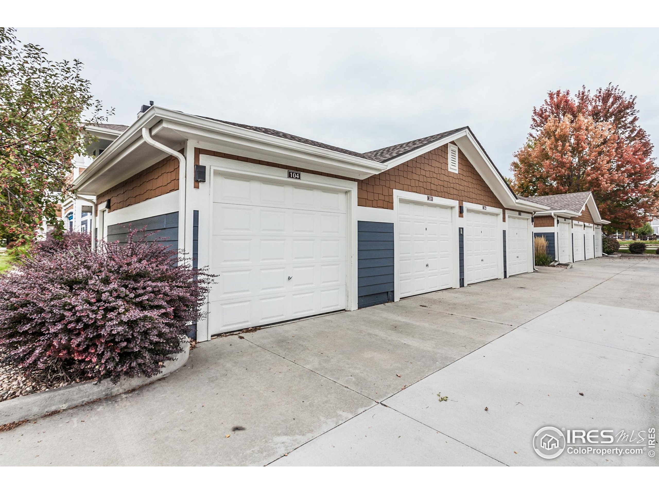 Owens Ave, Fort Collins, CO 80528 #1