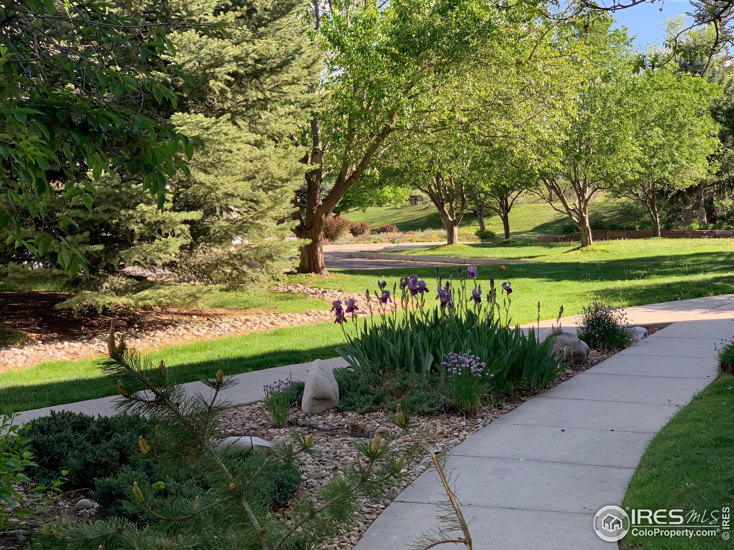 Mohawk Dr, Boulder, CO 80303 #1