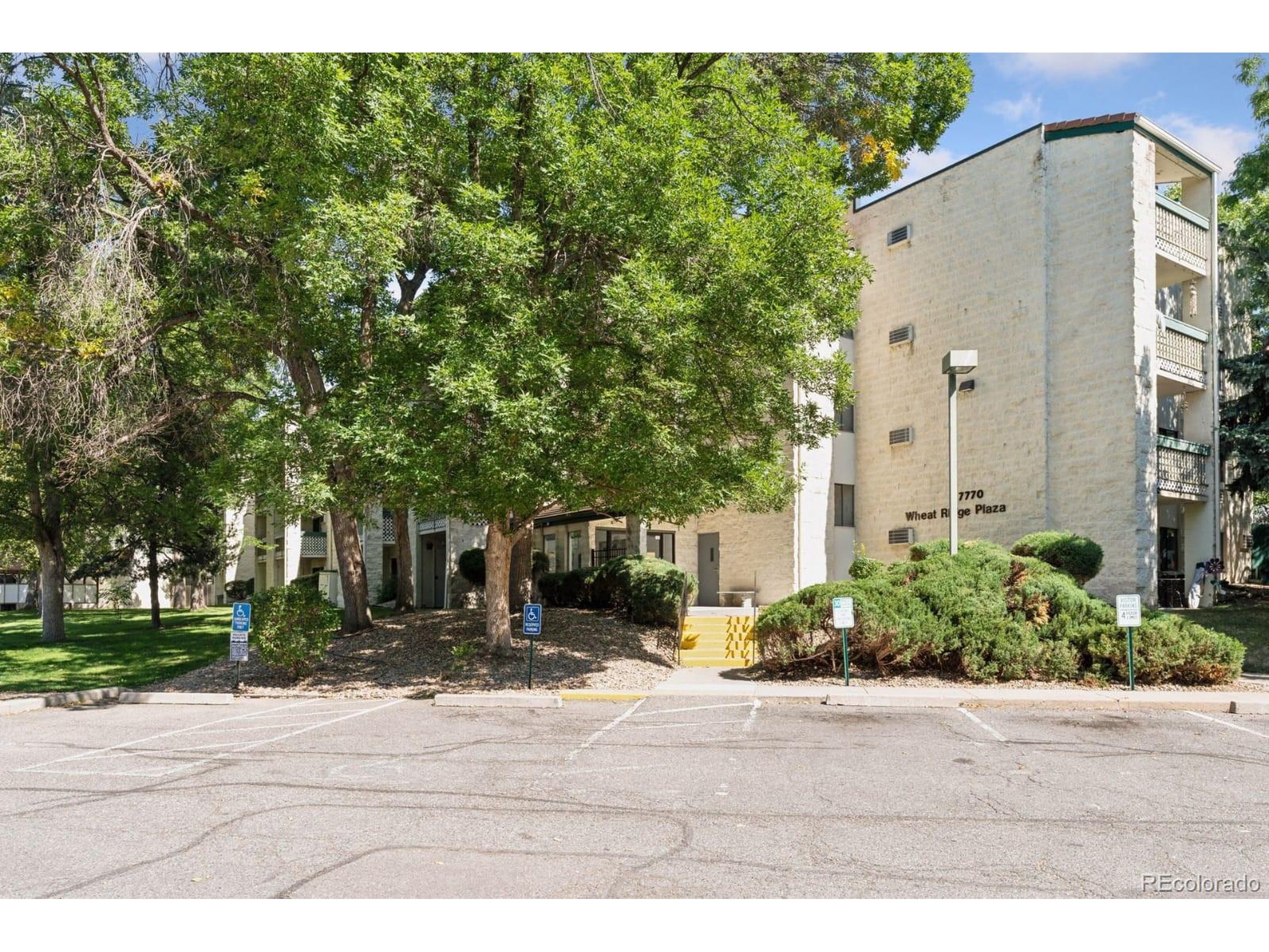 38th Ave, Wheat Ridge, CO 80033 #1
