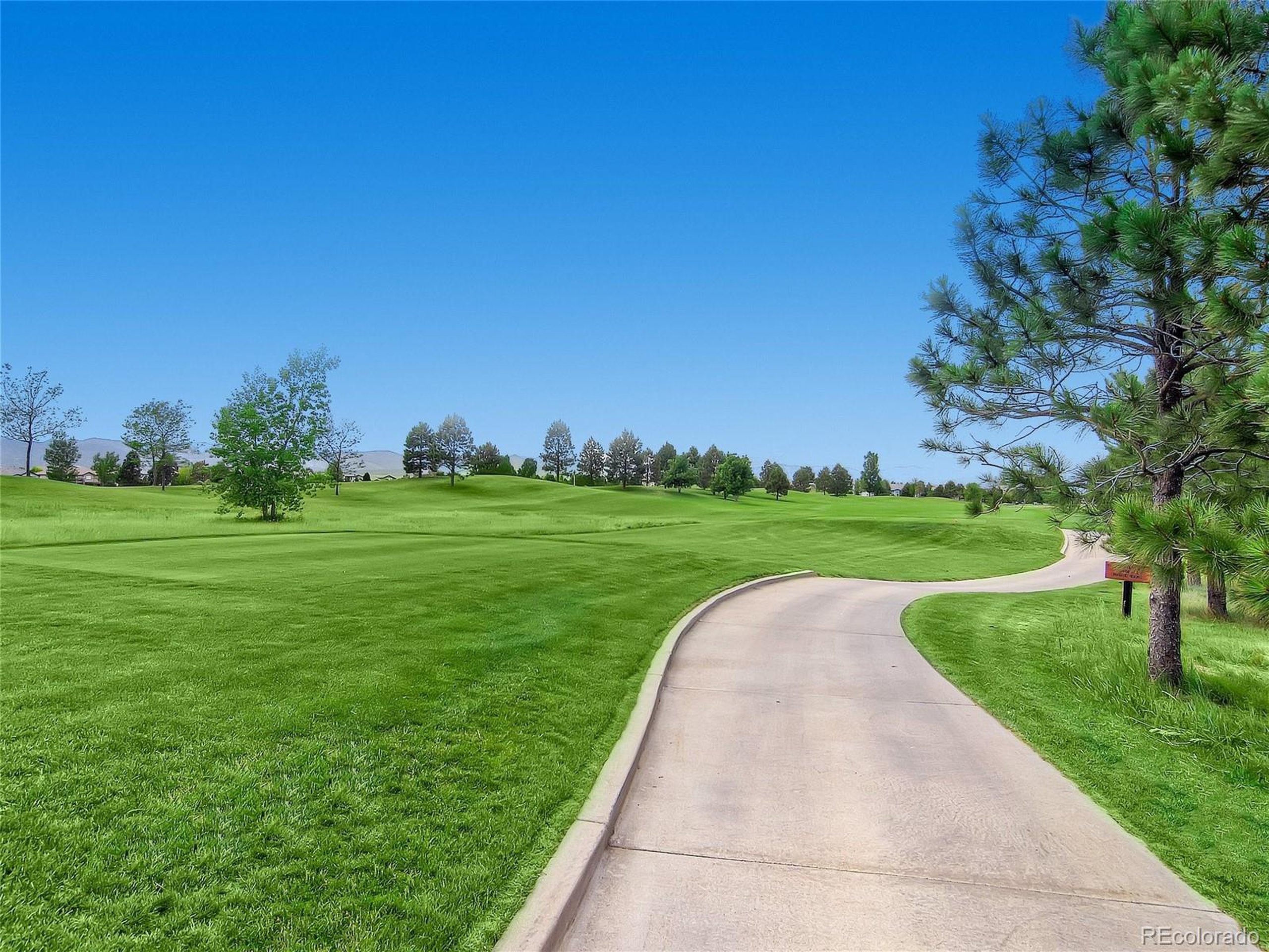 Rockhurst Dr, Highlands Ranch, CO 80129 #1