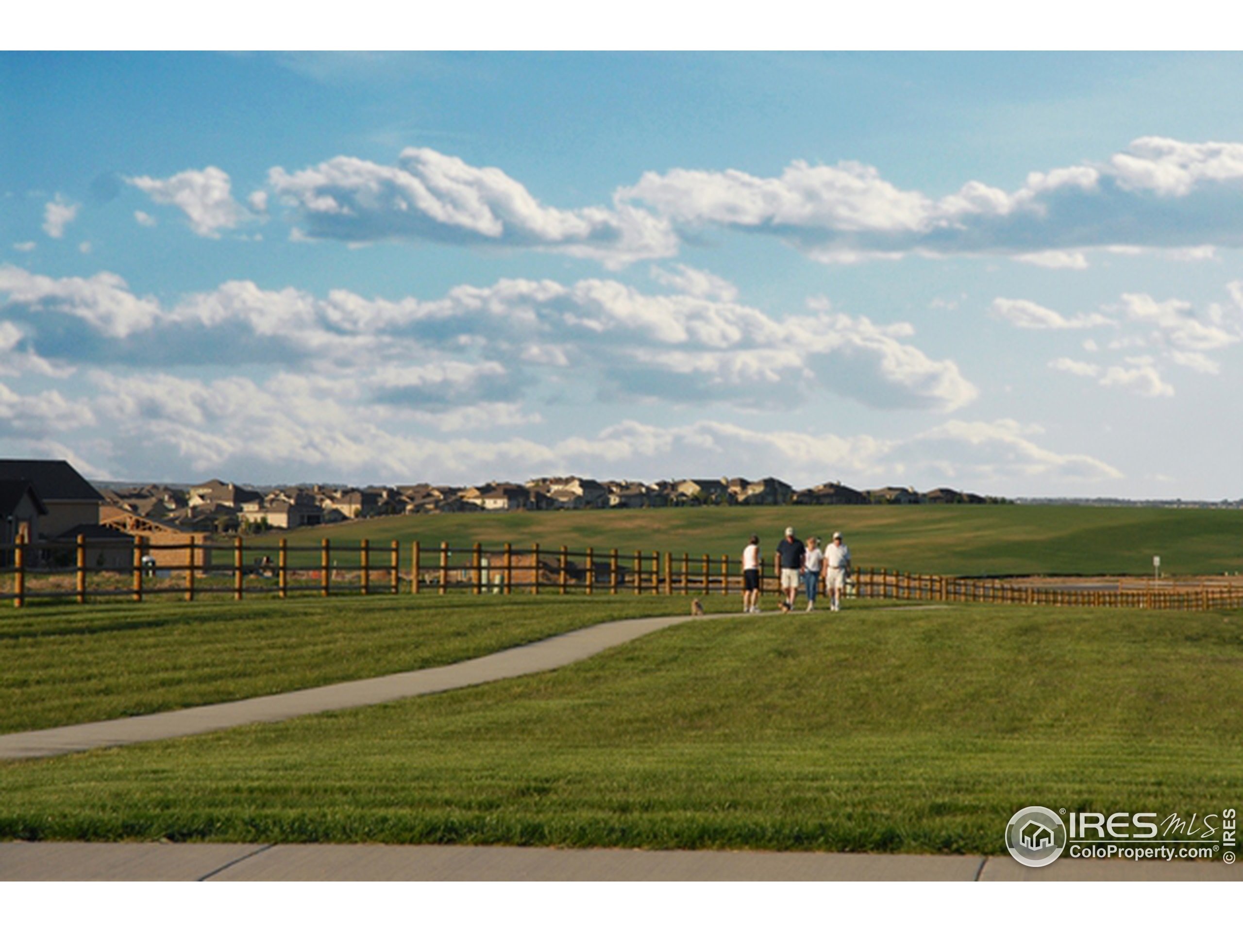 Cherry Blossom Dr, Windsor, CO 80550 #1