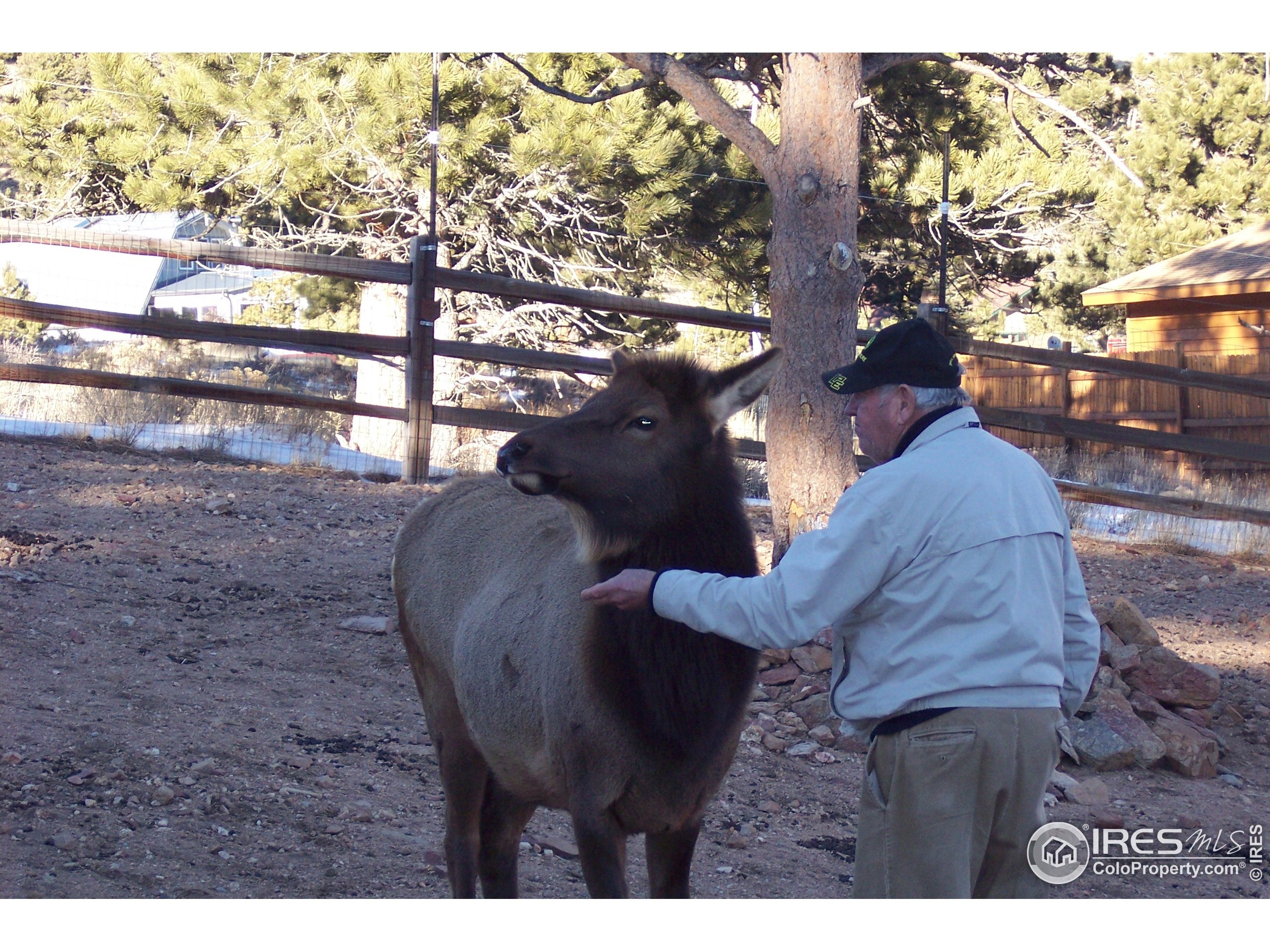 Little Prospect Rd, Estes Park, CO 80517 #1