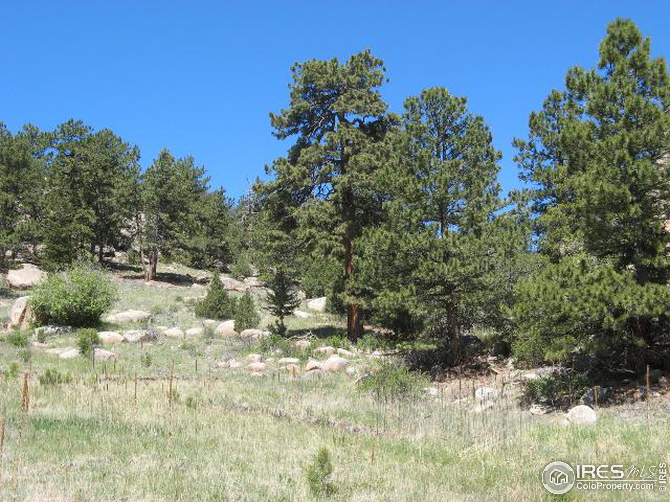 Bald Mountain Dr, Livermore, CO 80536 #1