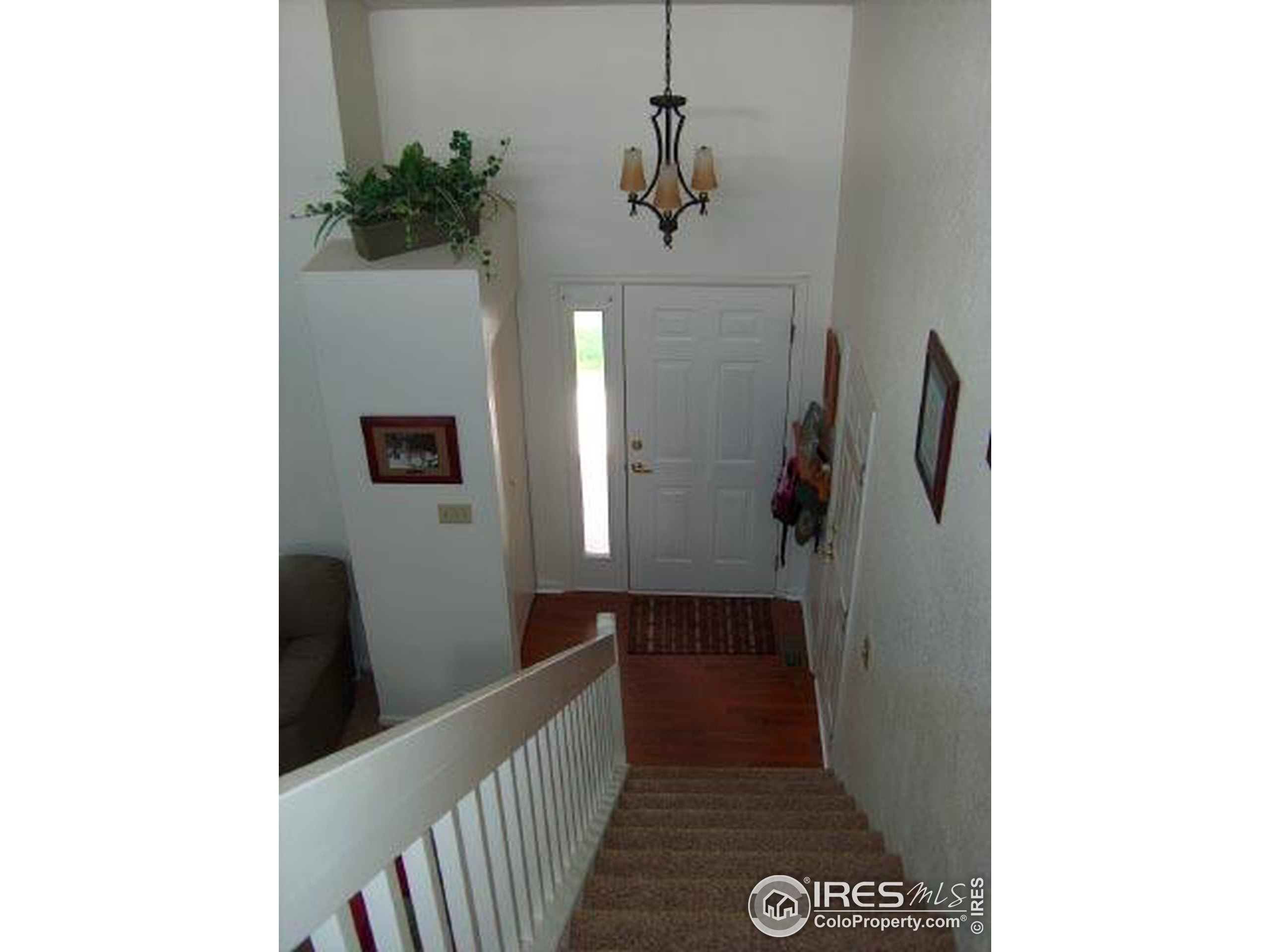 2nd St, Frederick, CO 80530 #1