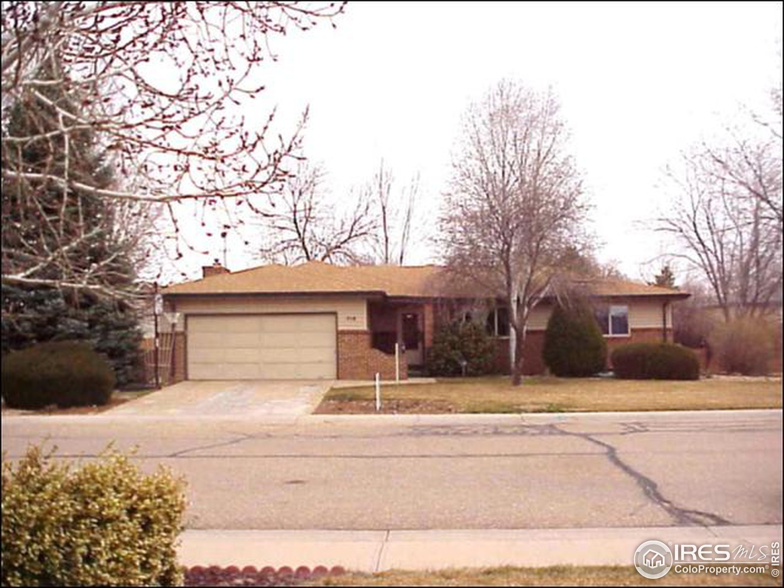 Woods Ave, Ault, CO 80610 #1