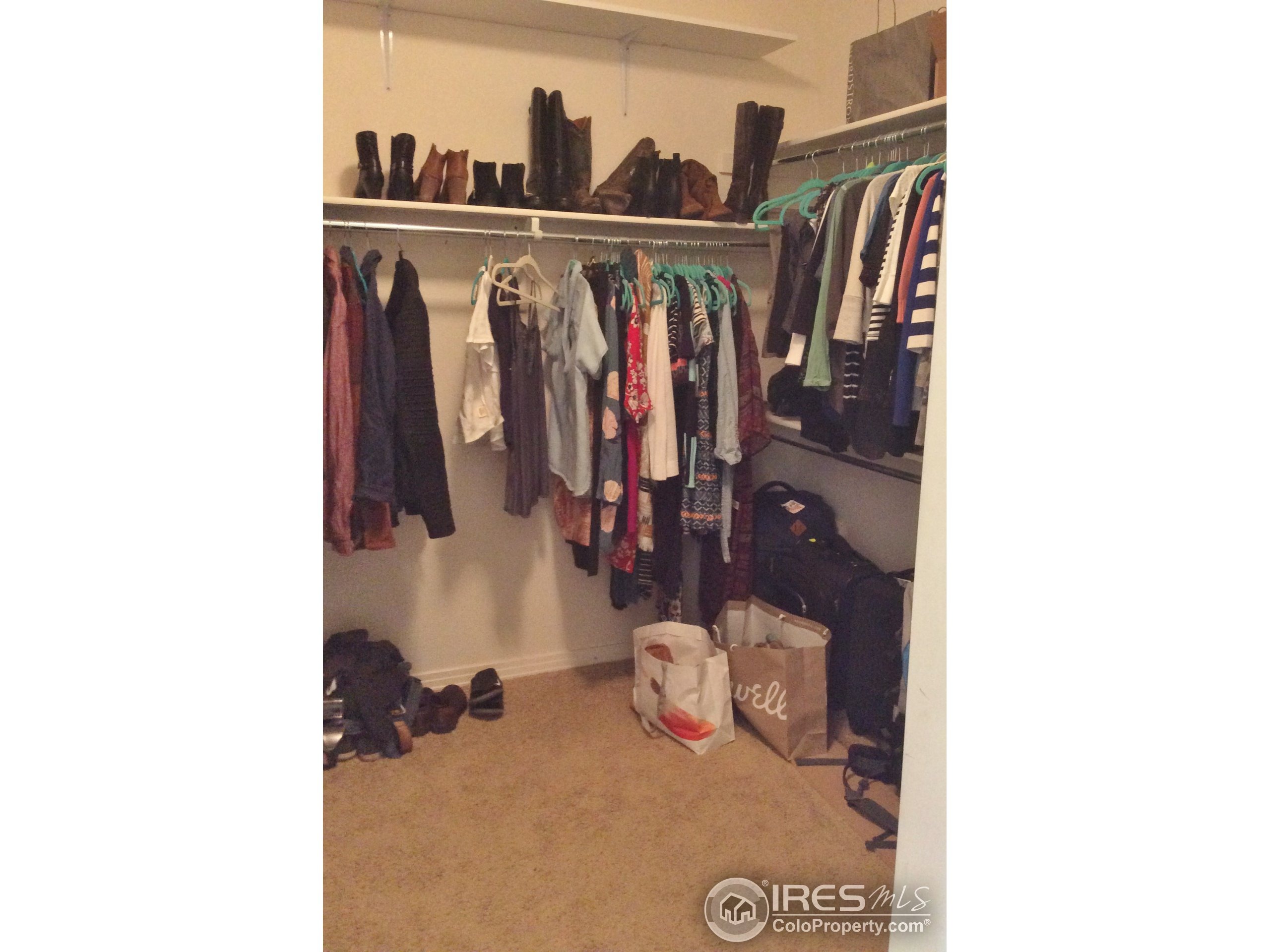 Summer Hawk Dr, Longmont, CO 80504 #1