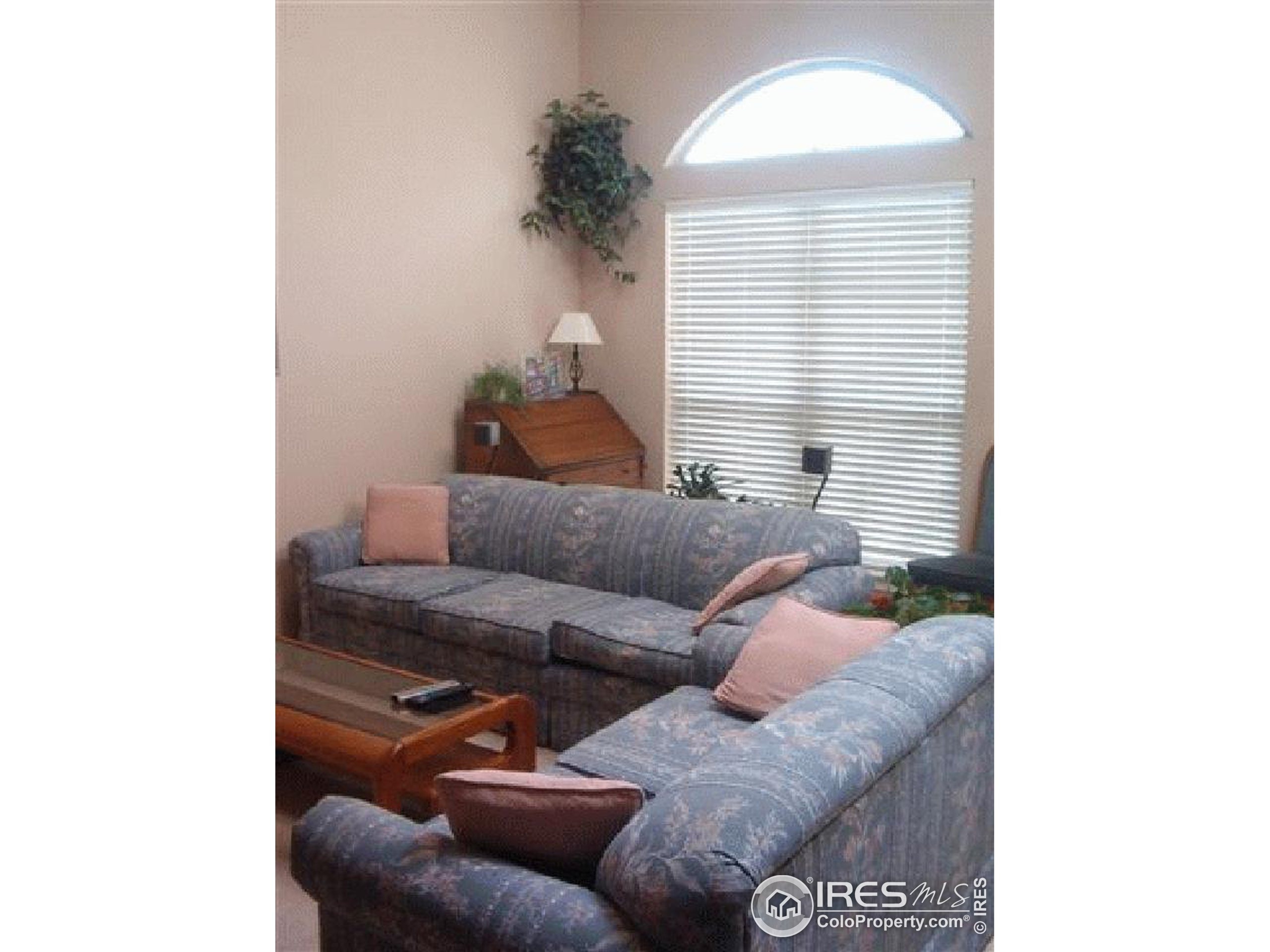 Grove Way, Westminster, CO 80031 #1