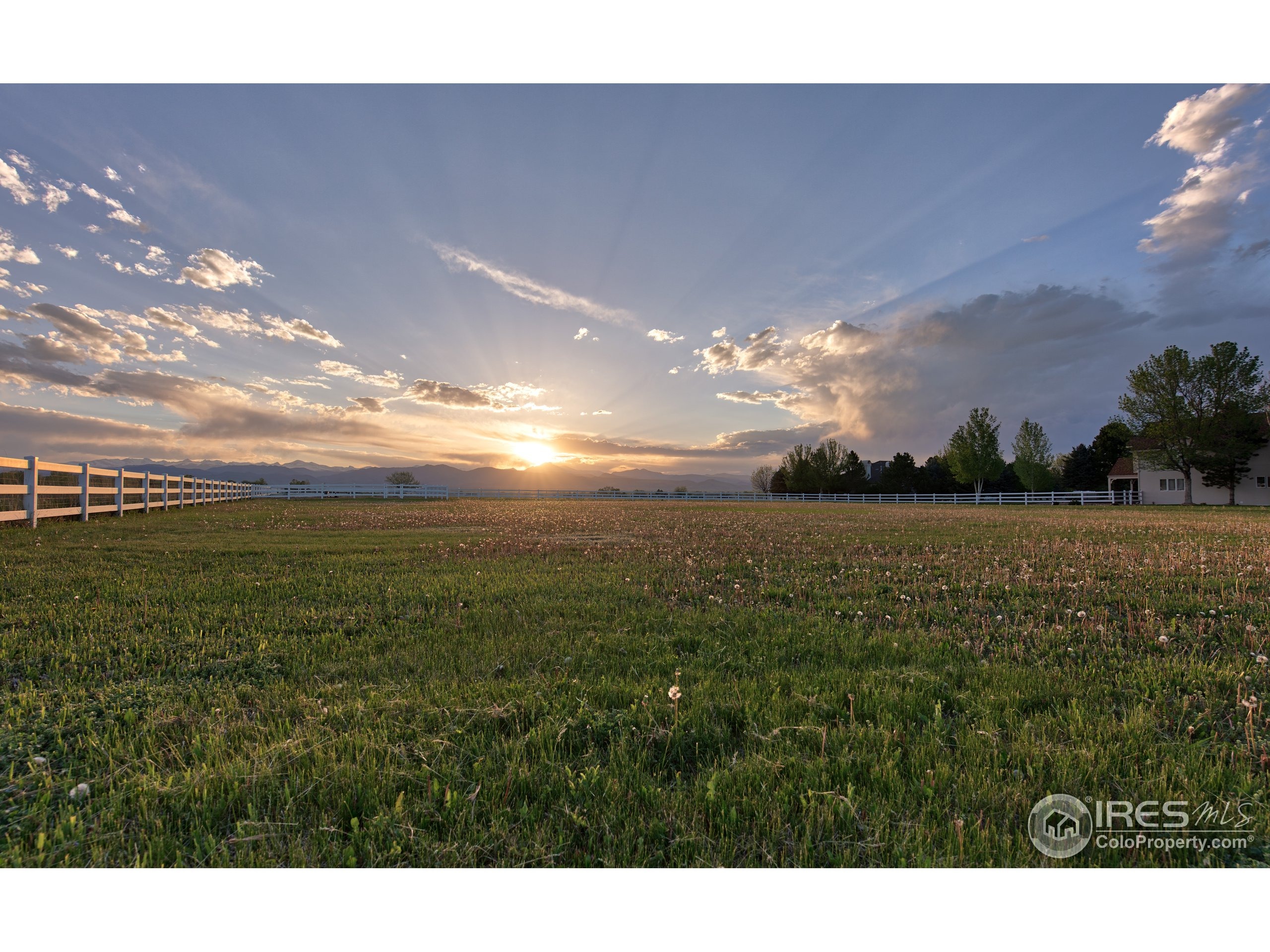 Niwot Rd, Longmont, CO 80504 #1