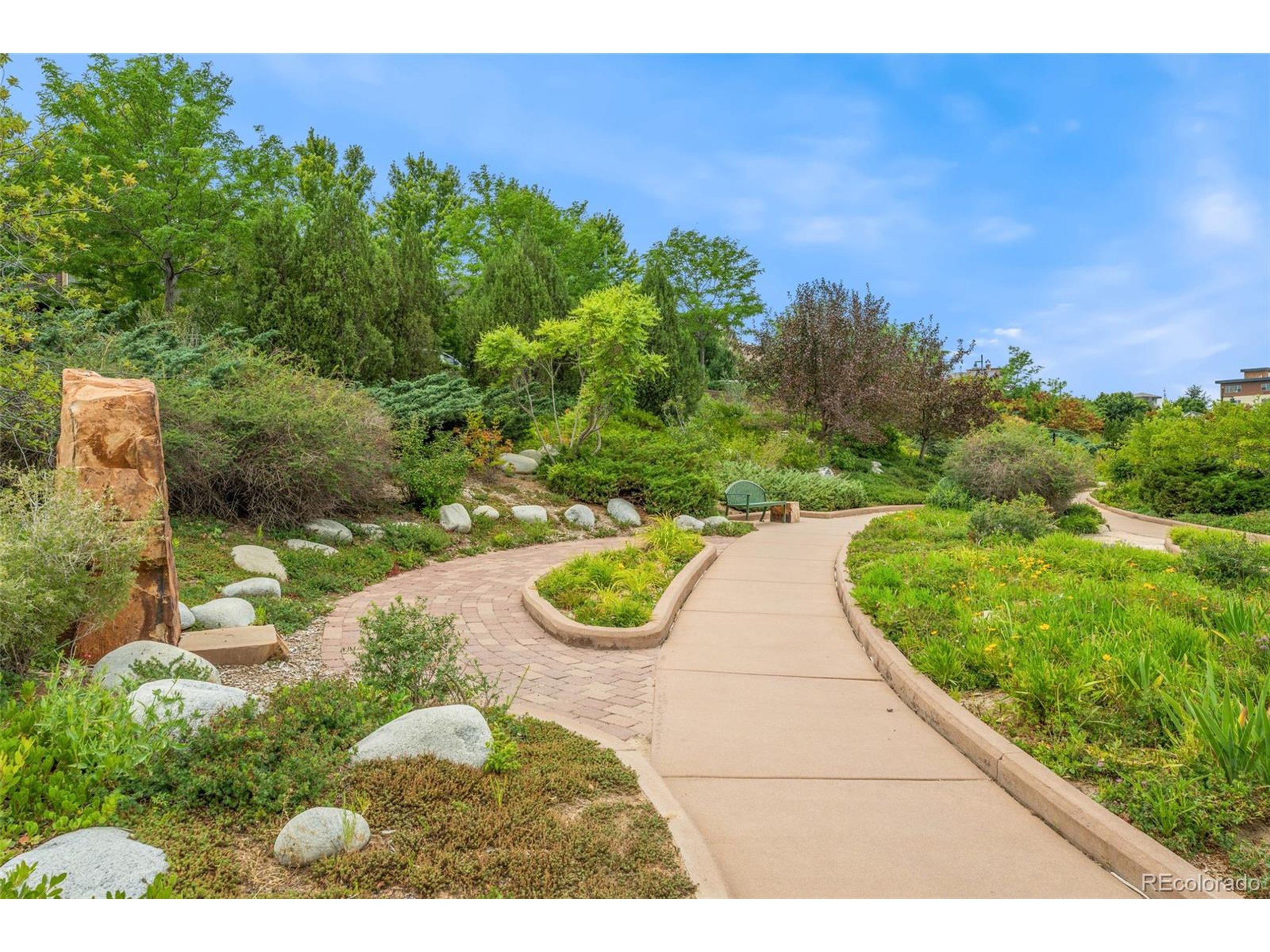 Rockhurst Dr, Highlands Ranch, CO 80129 #1