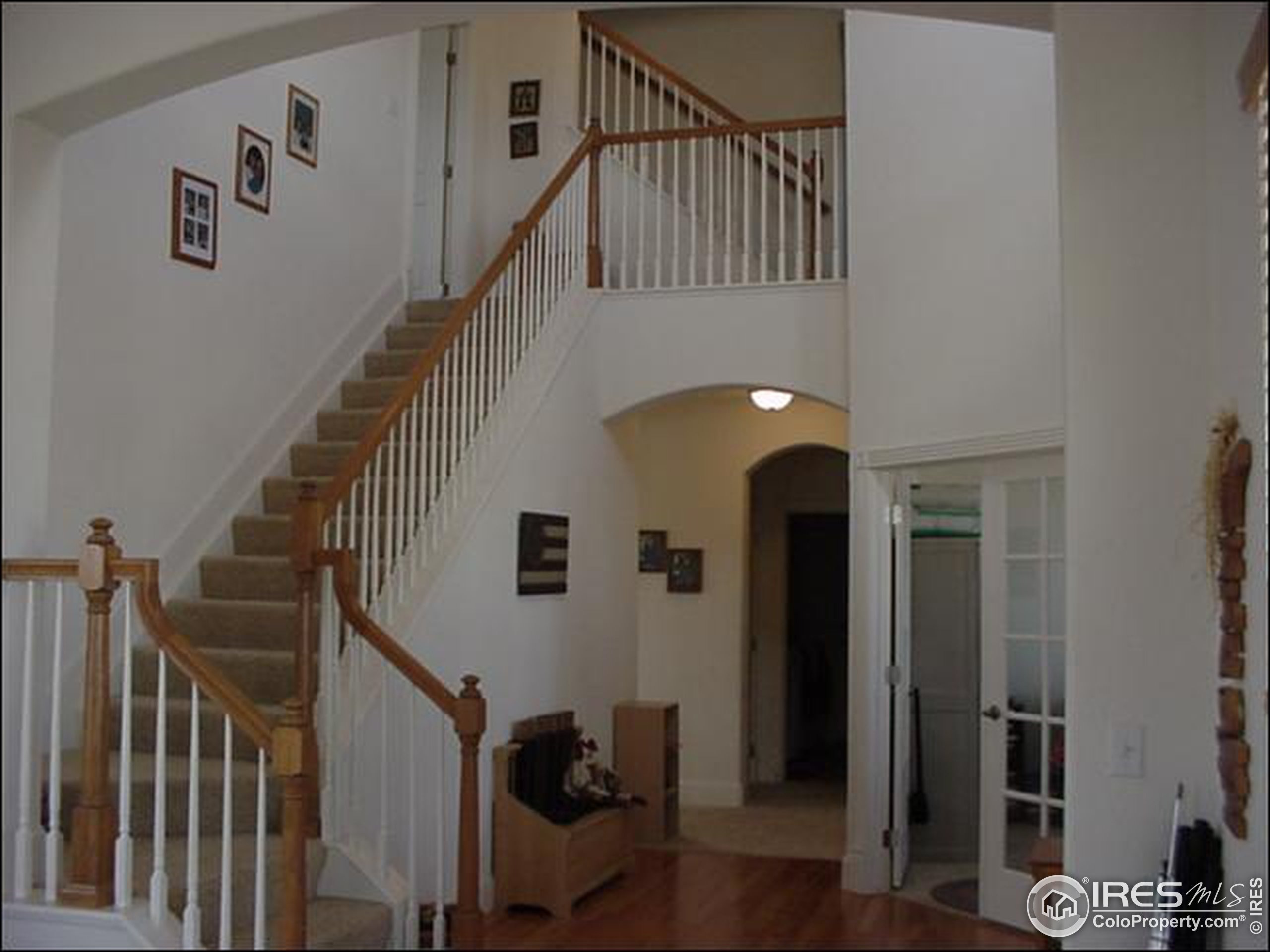 Homestead Dr, Longmont, CO 80504 #1