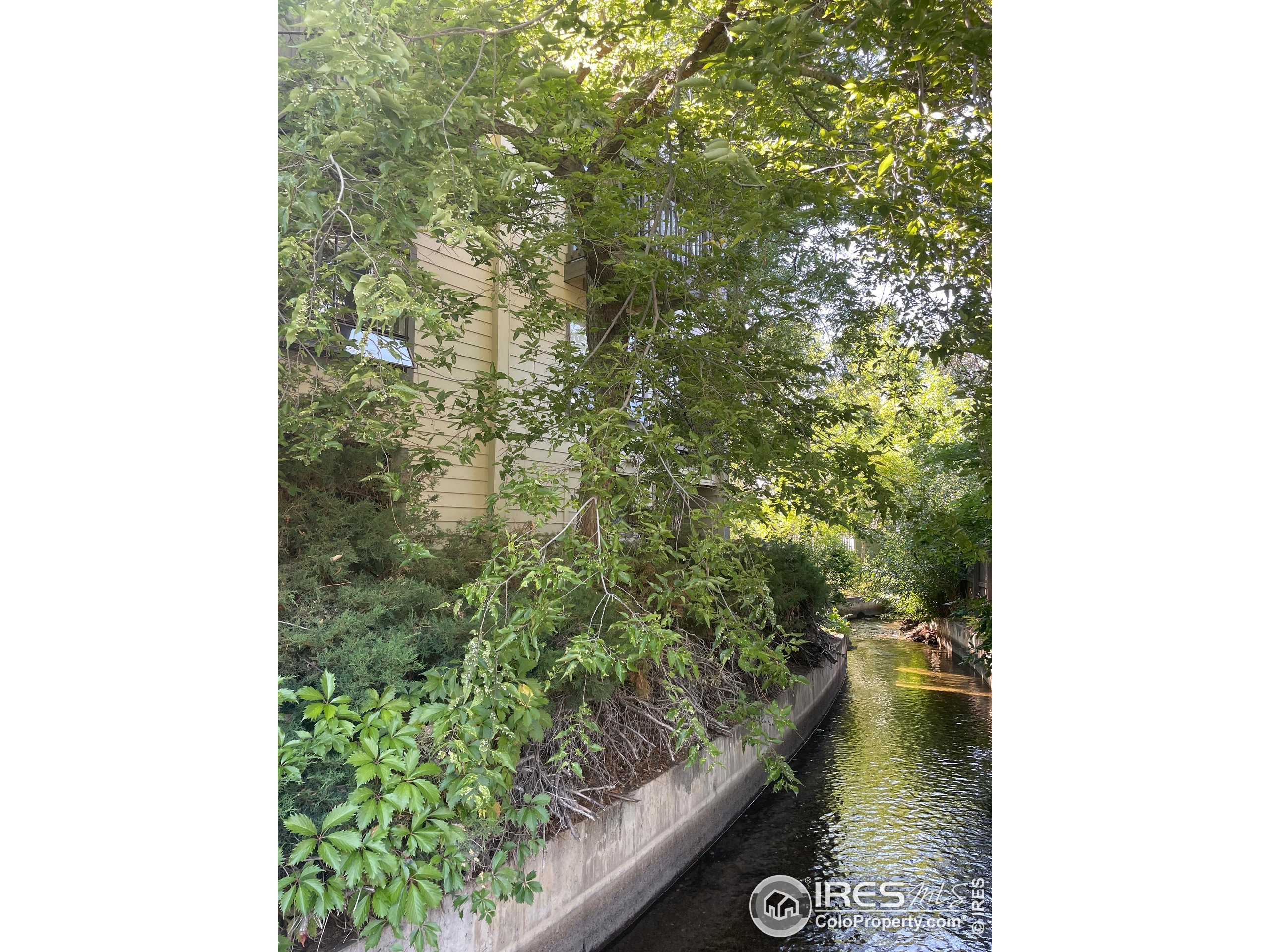 Maxwell Ave, Boulder, CO 80304 #1