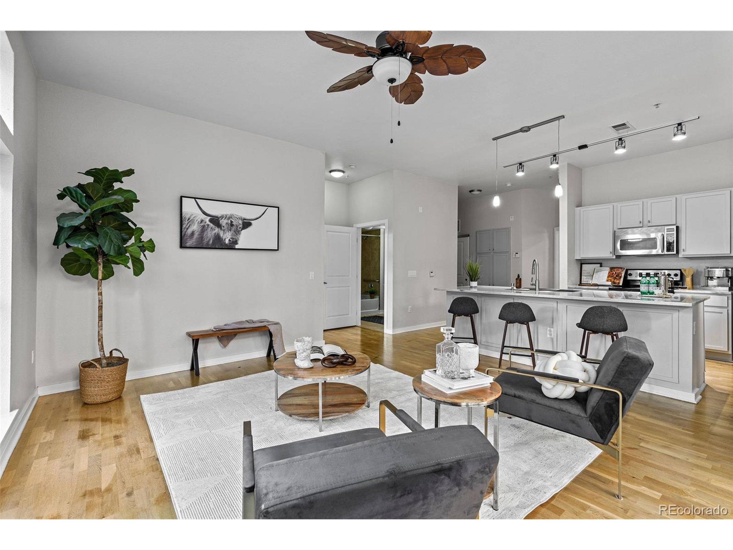 Custer Ave, Lakewood, CO 80226