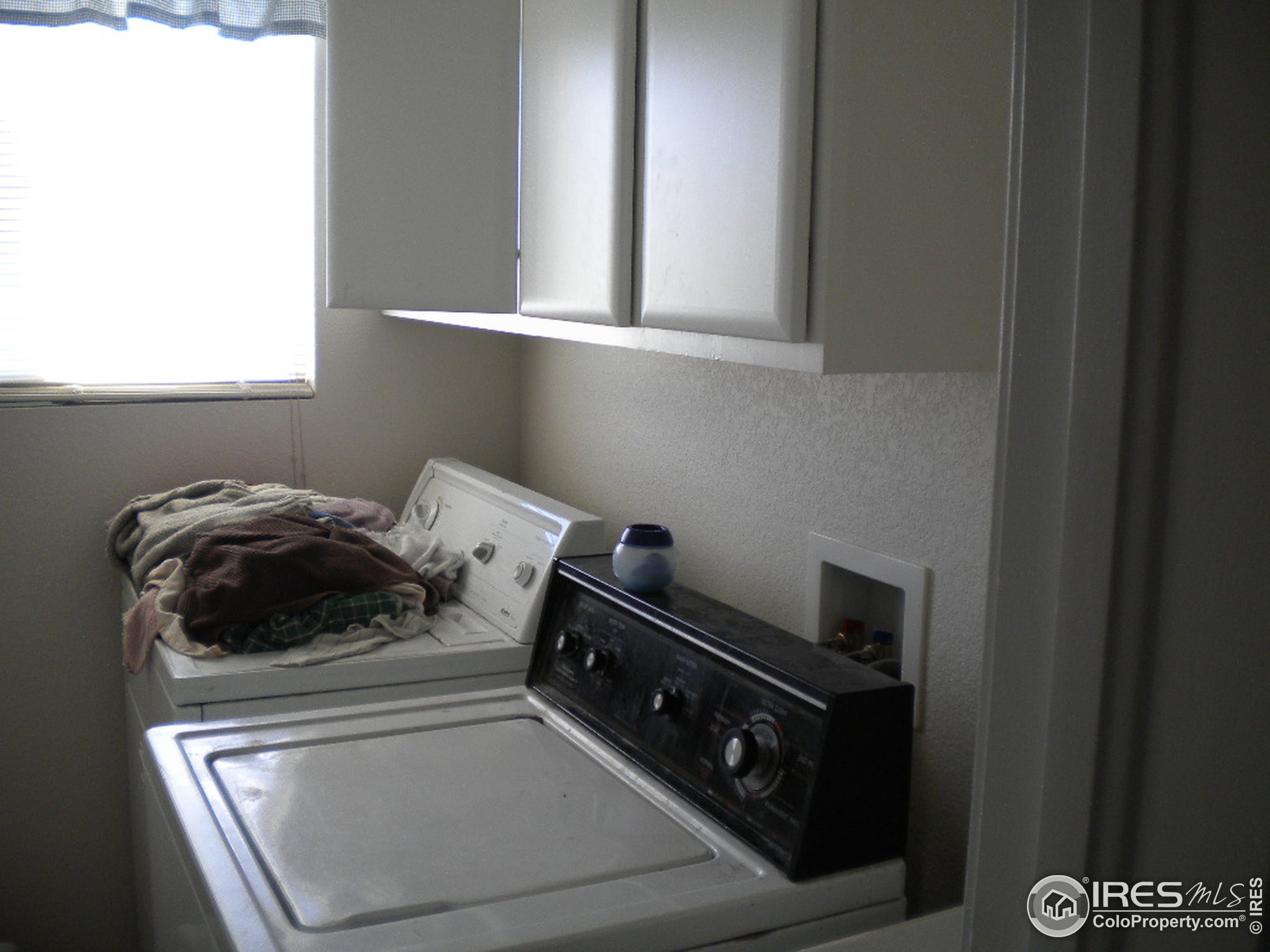 Carlyle Ln, Wellington, CO 80549 #1