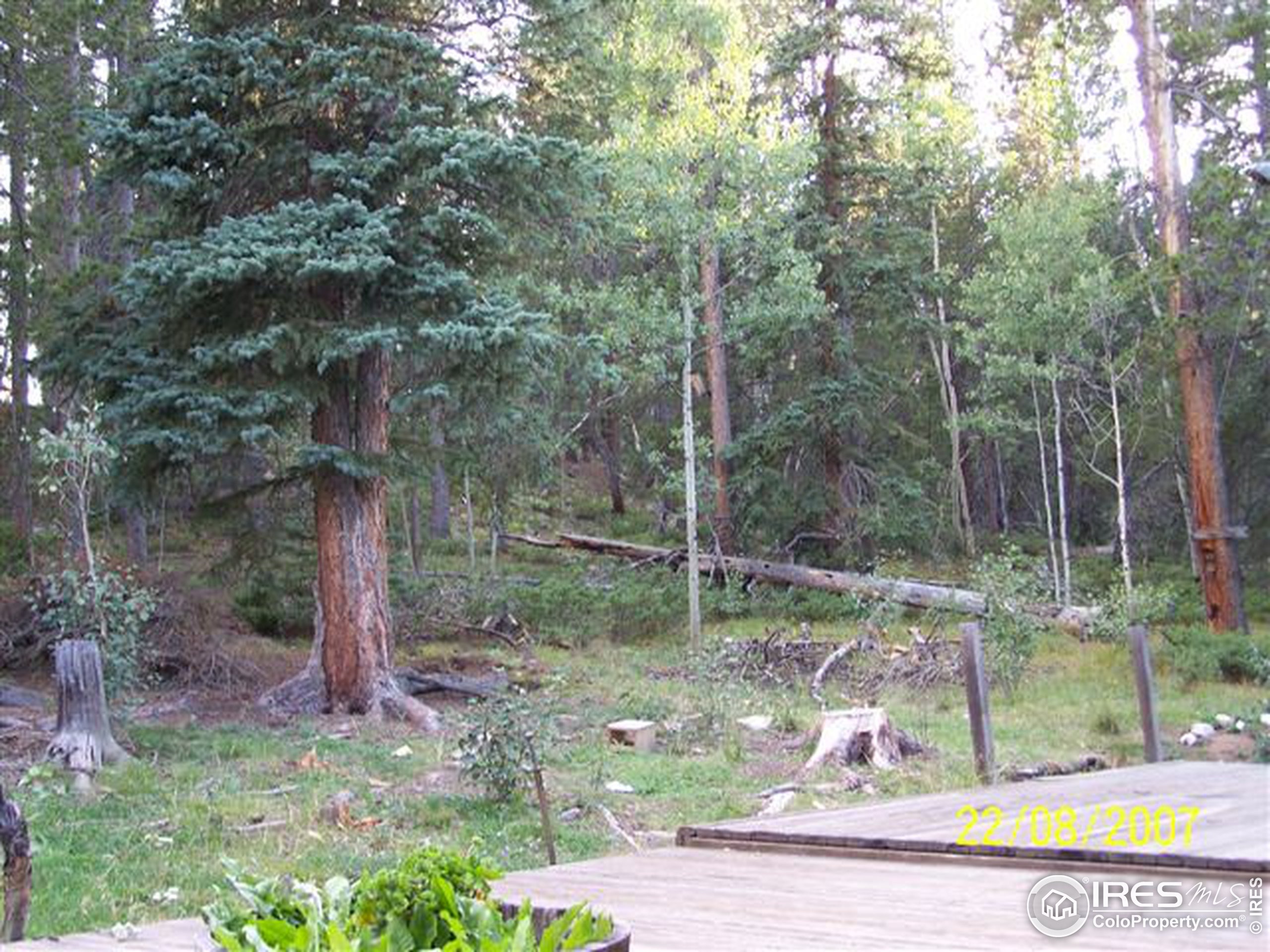 Golden Leaf Way, Black Hawk, CO 80422