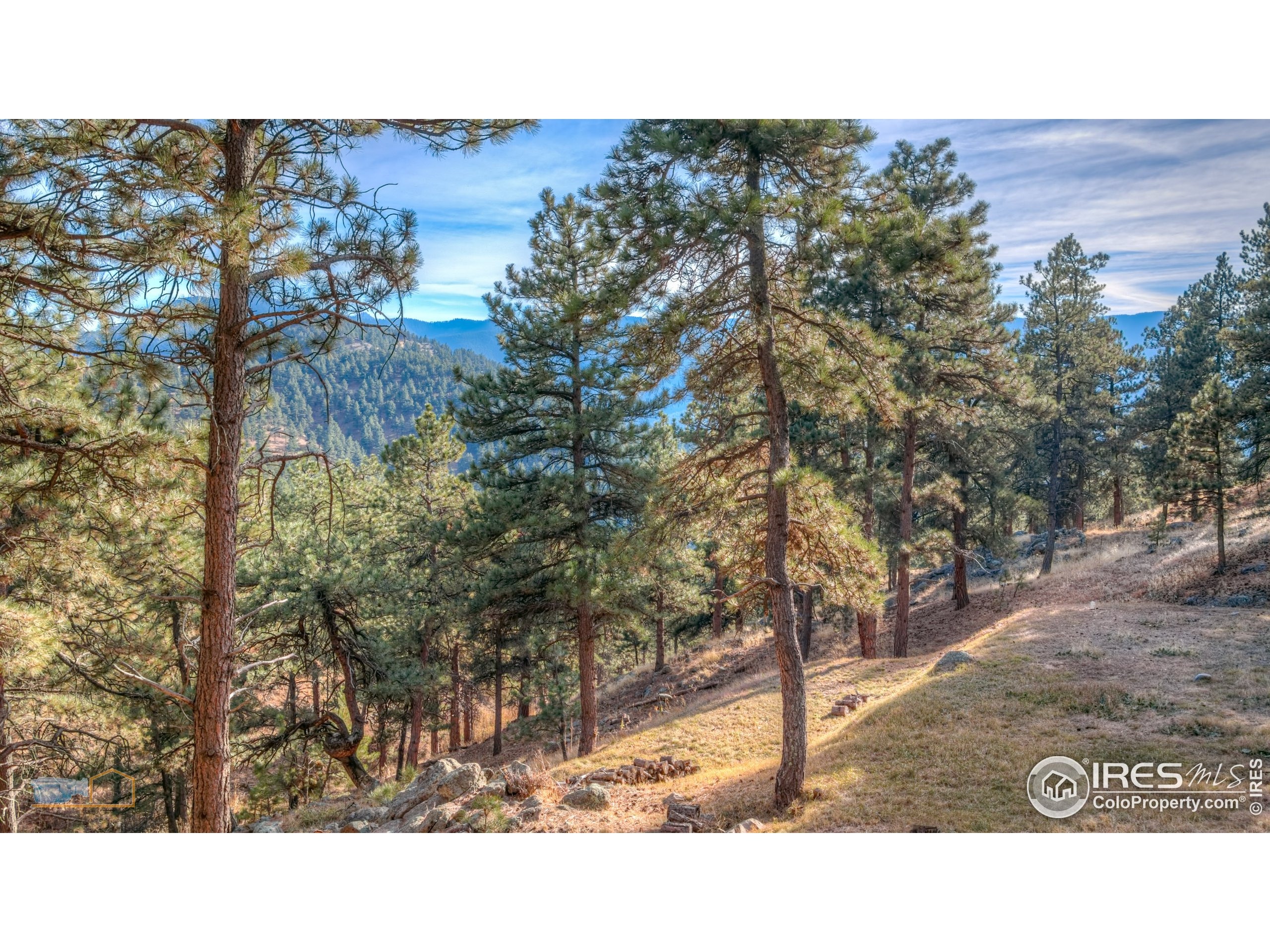 Poorman Rd, Boulder, CO 80302 #1