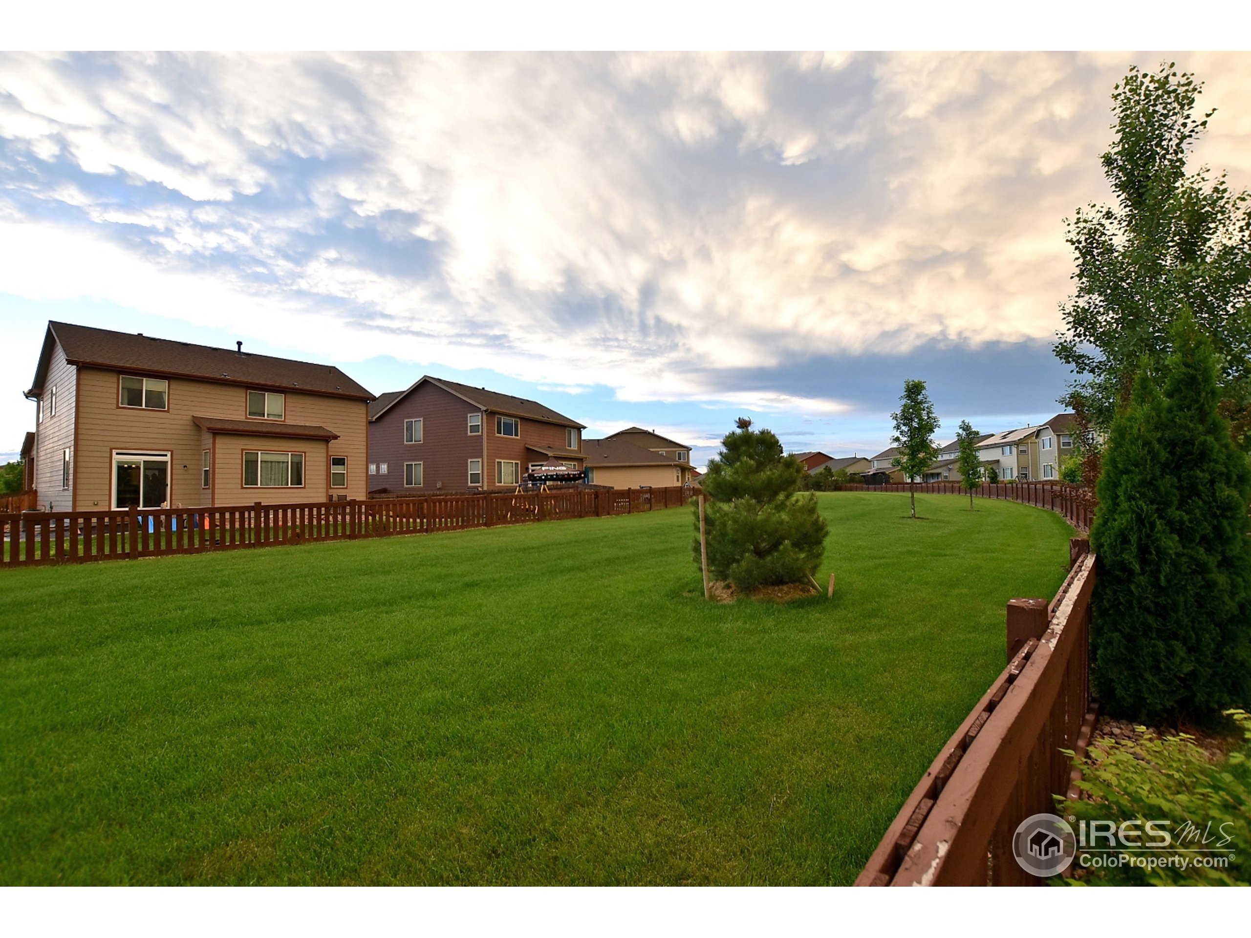 Calgary St, Timnath, CO 80547 #1
