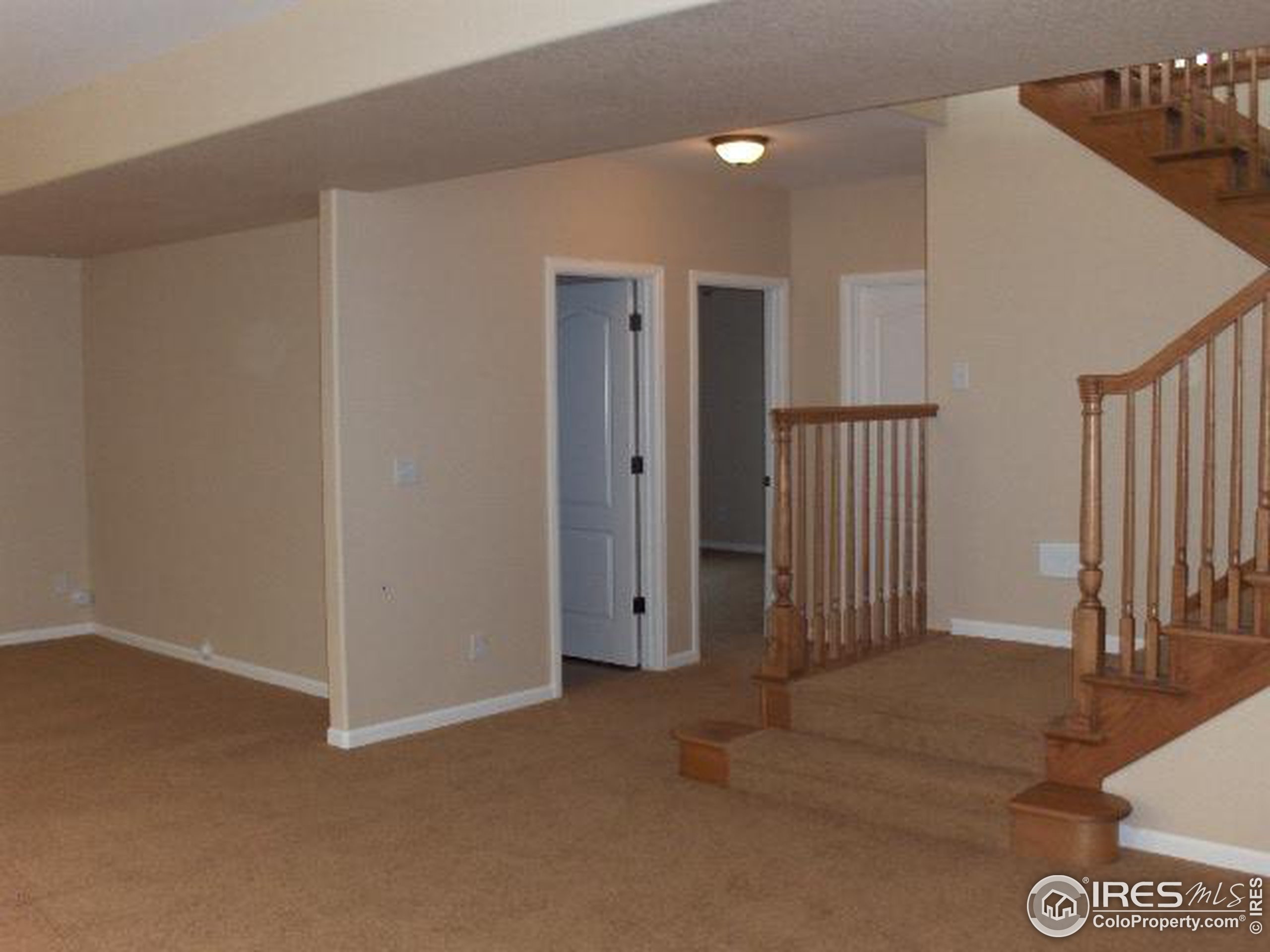 Coral Burst Cir, Loveland, CO 80538 #1
