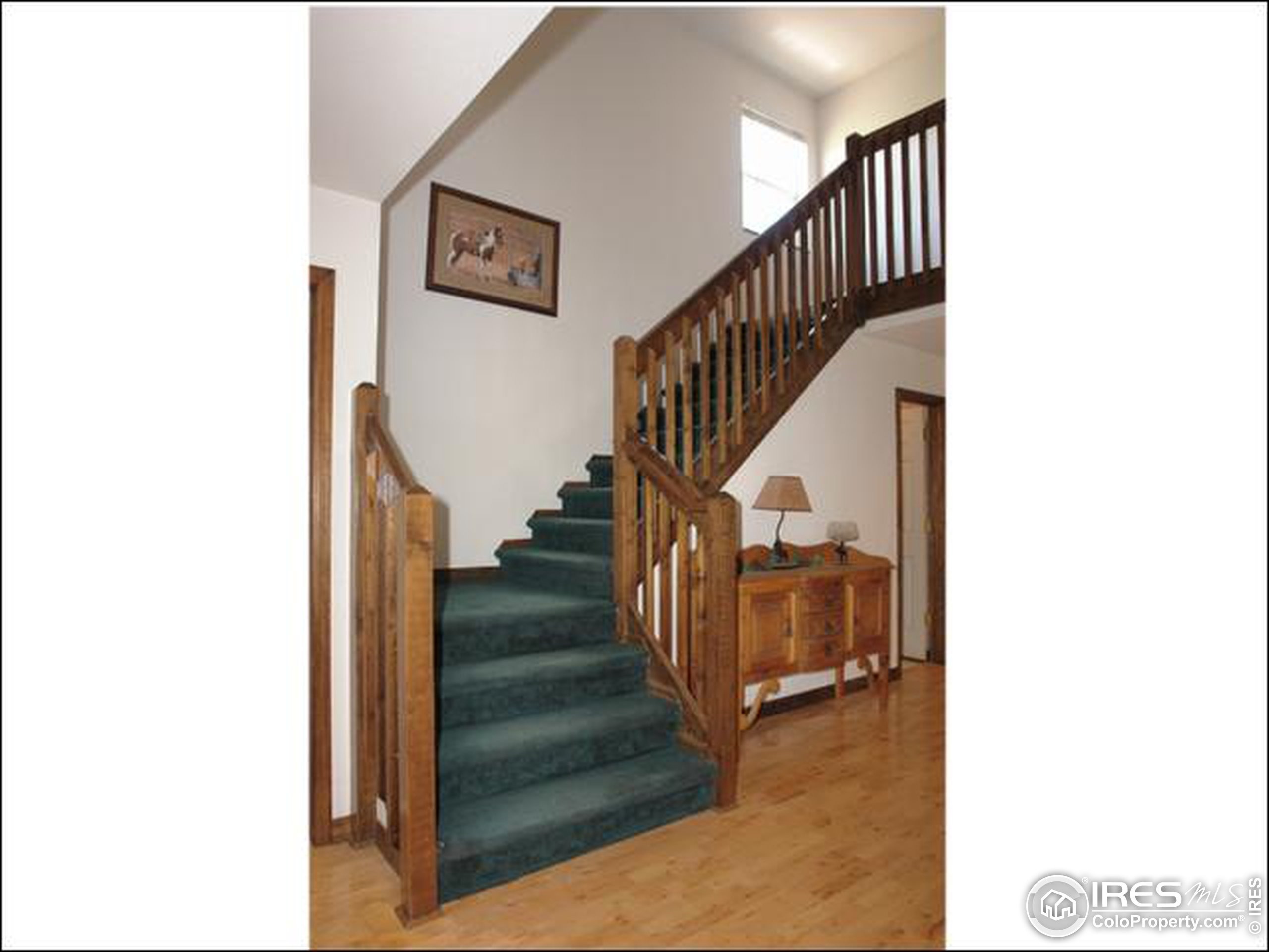 Arikaree Peak Dr, Livermore, CO 80536 #1