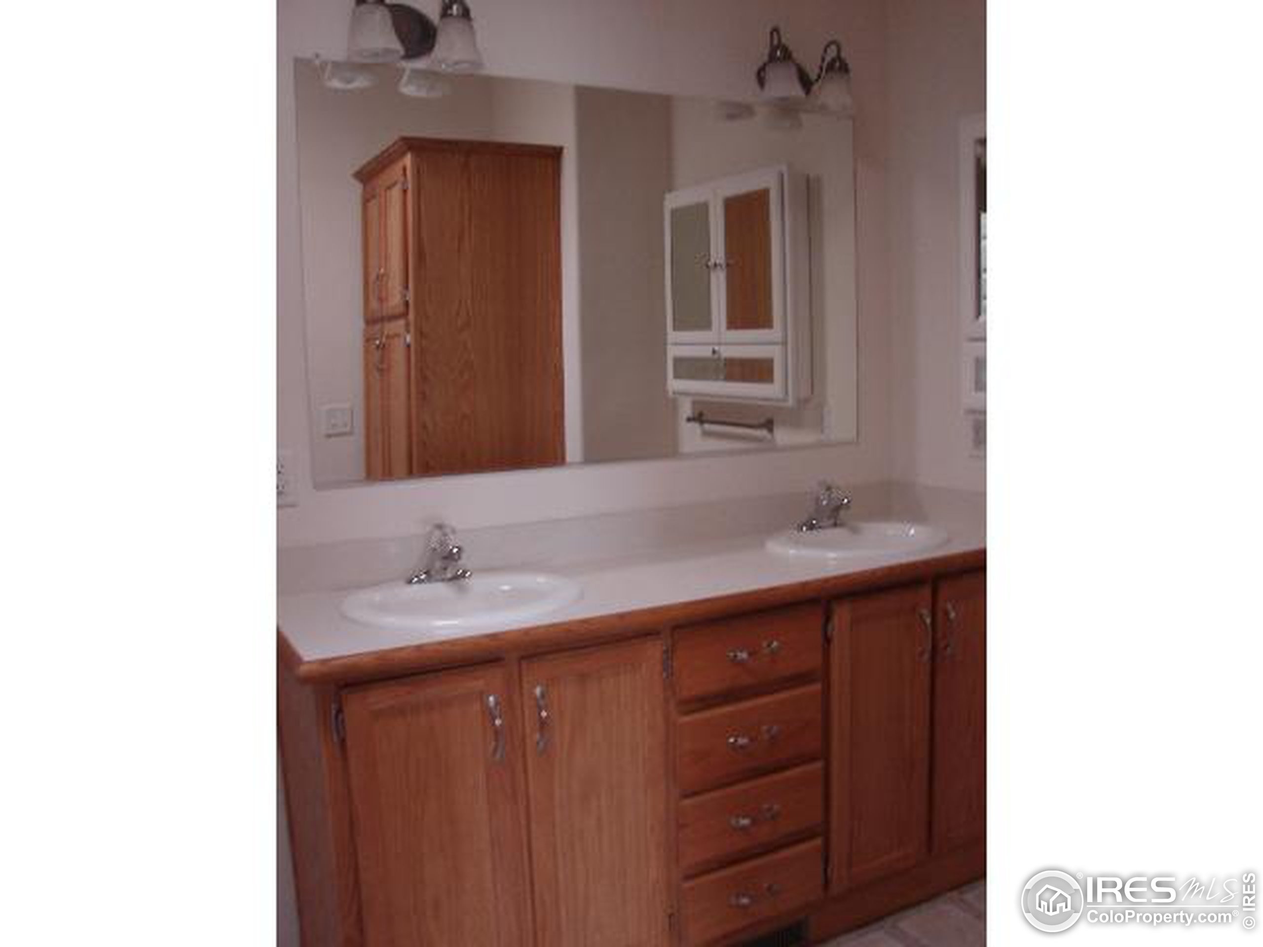 Vitala Dr, Fort Collins, CO 80524 #1