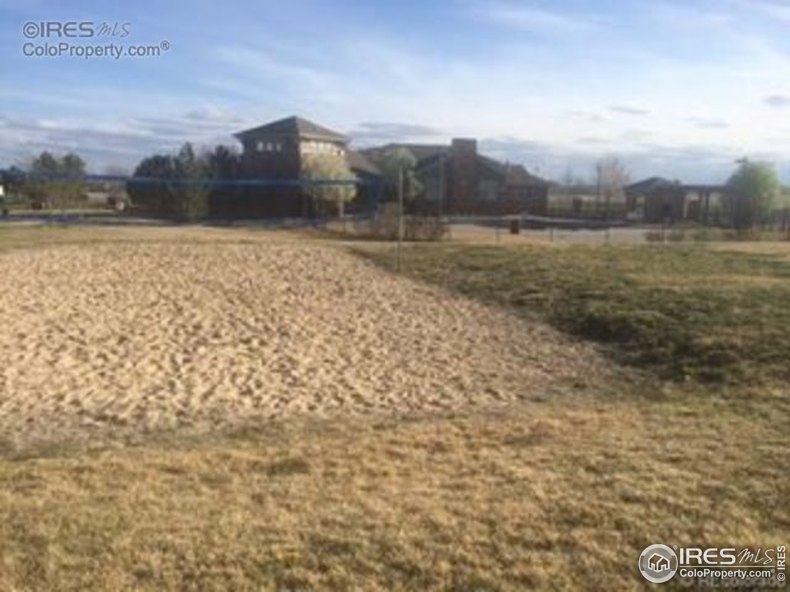 Dexter Ln, Thornton, CO 80229 #1
