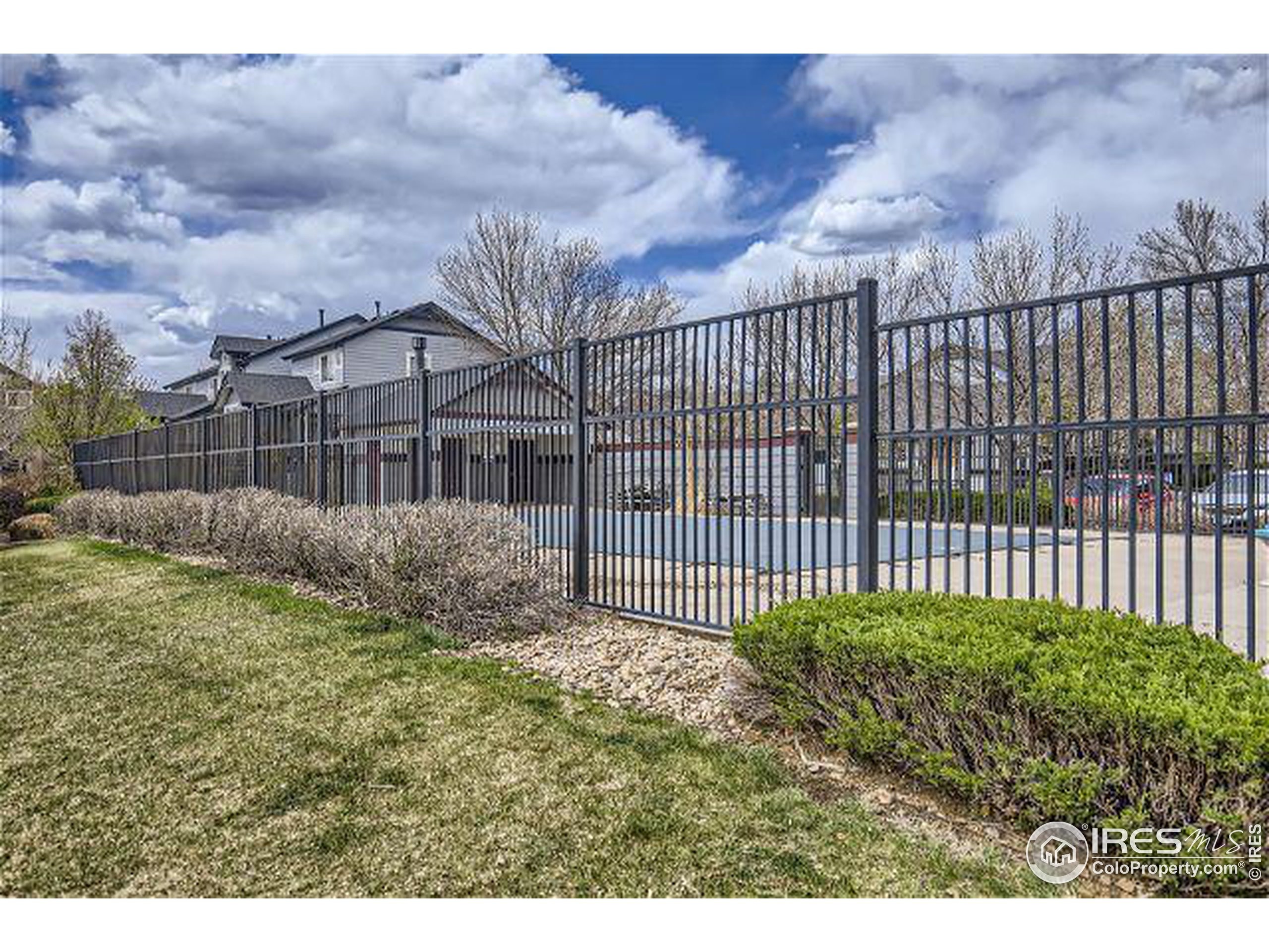 Barberry Dr, Longmont, CO 80503 #1