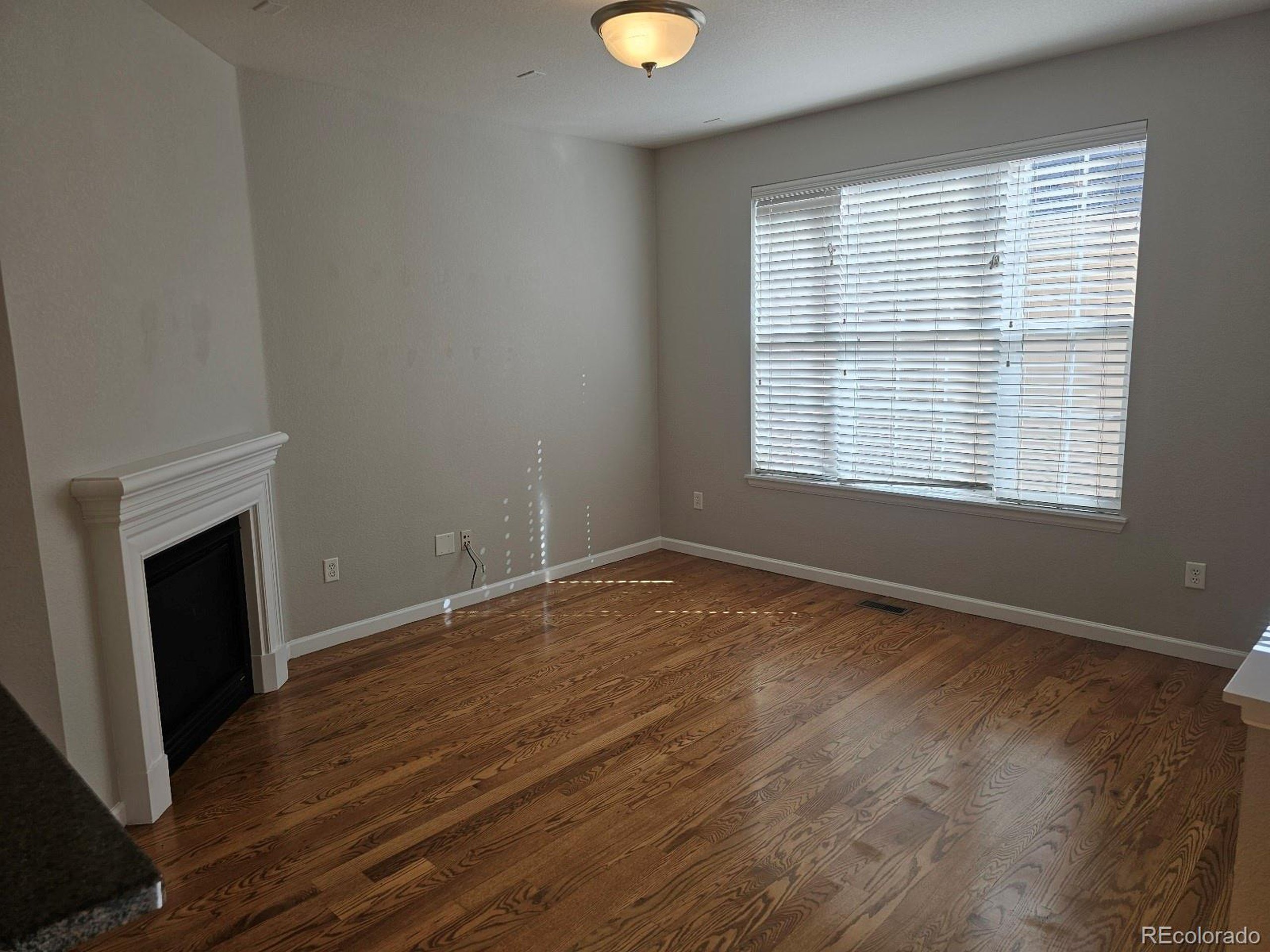 35th Ave, Denver, CO 80238 #1