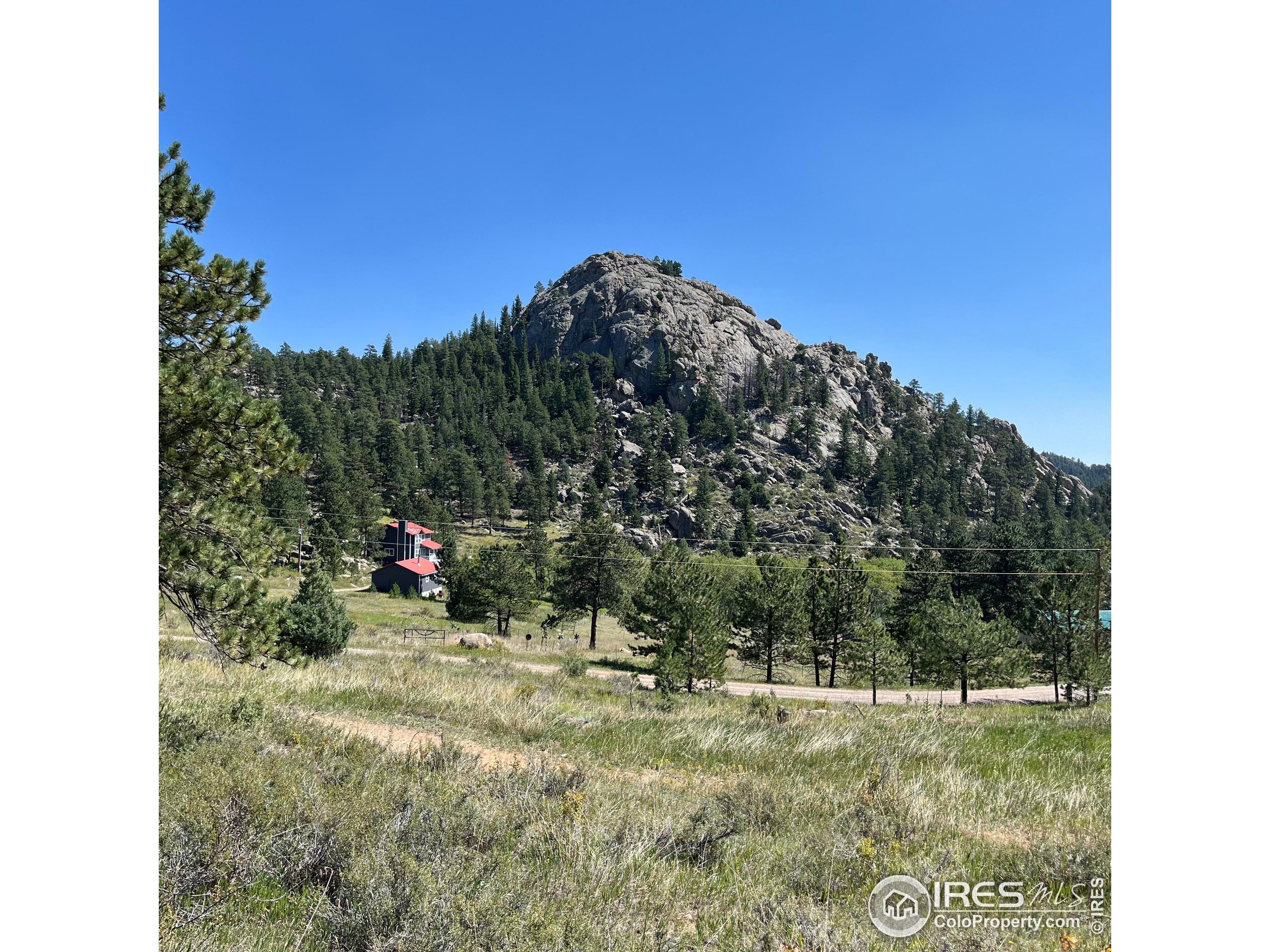 Horn Peak Dr, Livermore, CO 80536 #1