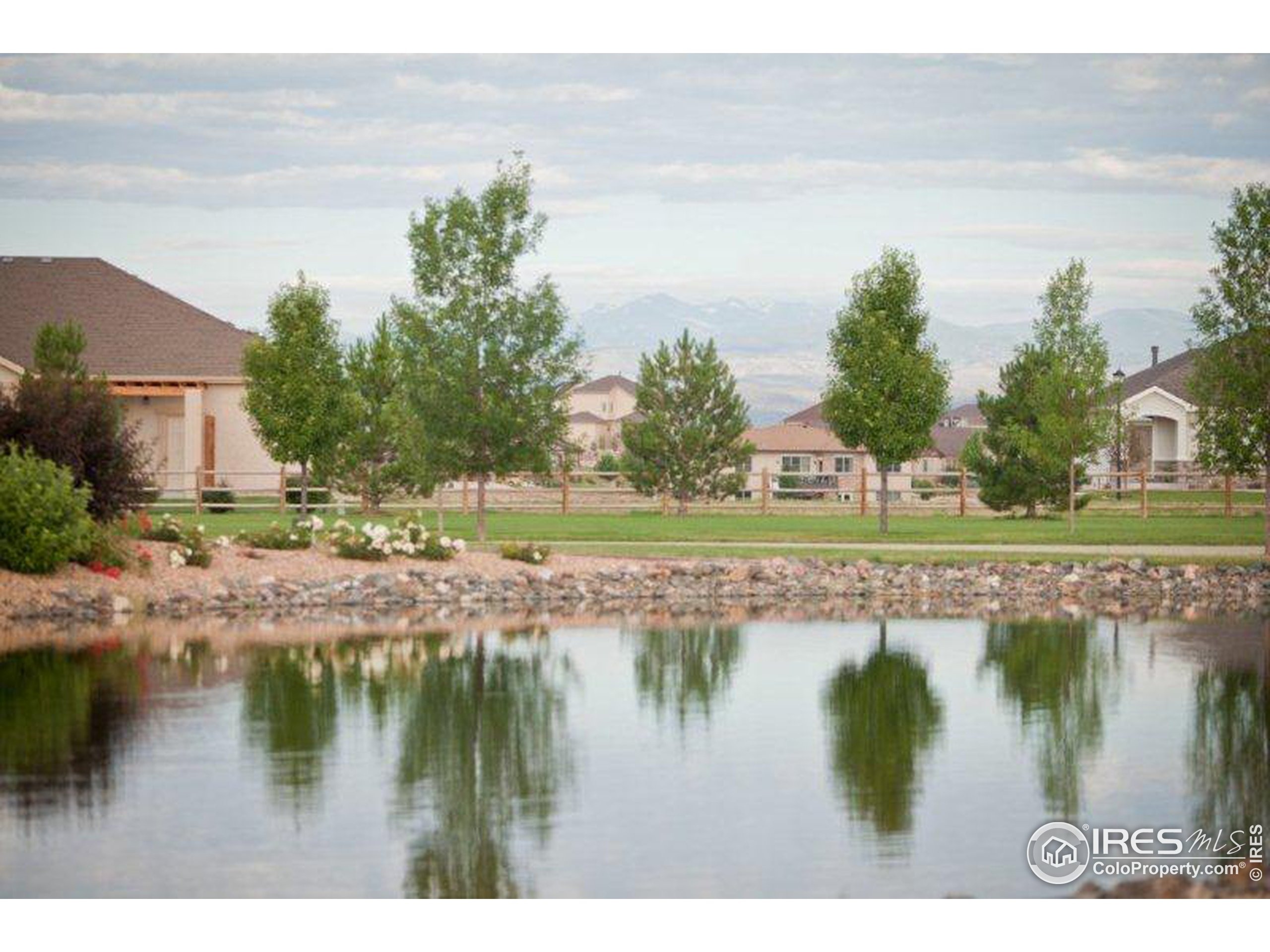 Cherry Blossom Dr, Windsor, CO 80550 #1