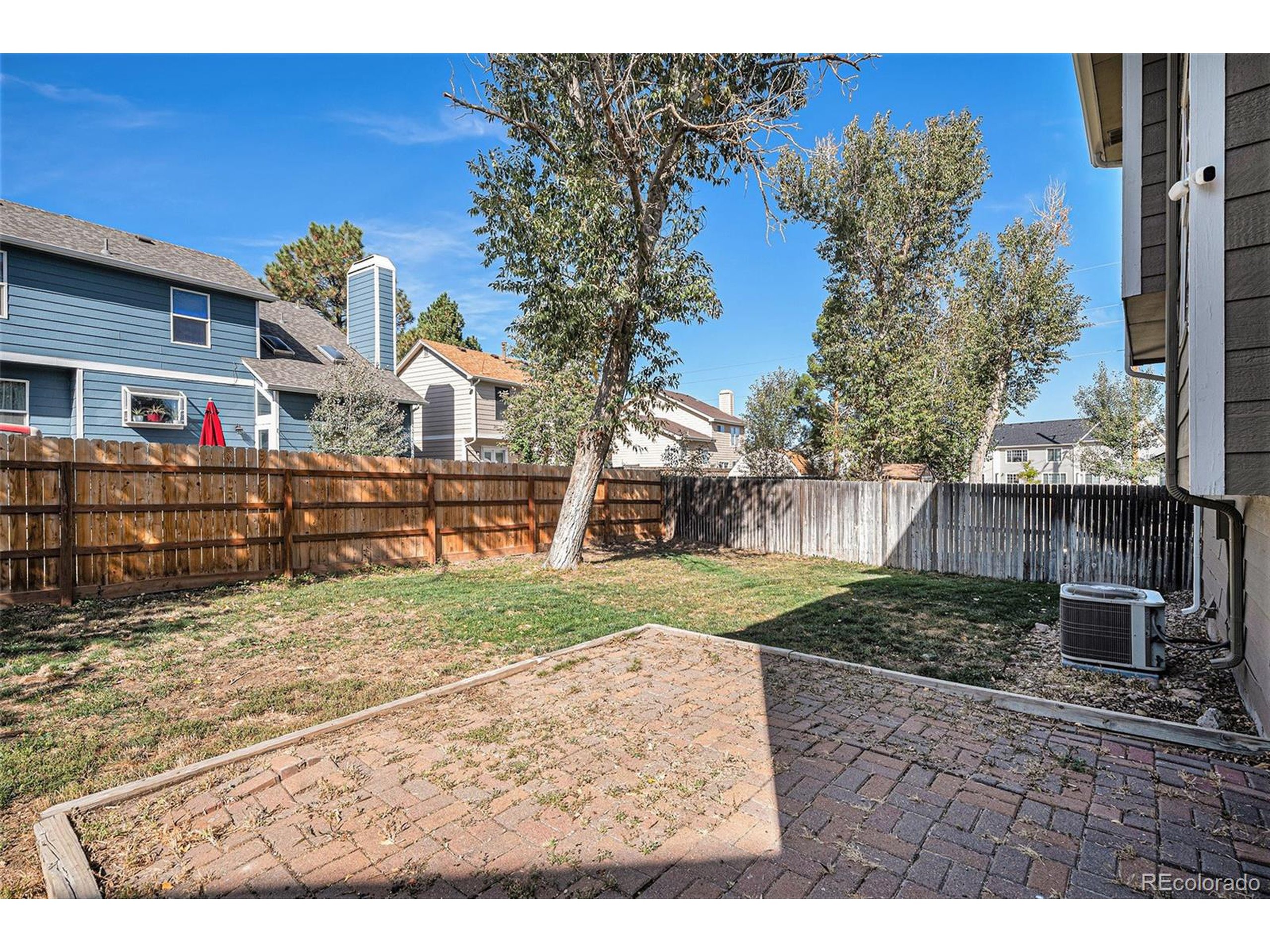 Courtney Ave, Castle Rock, CO 80104 #1