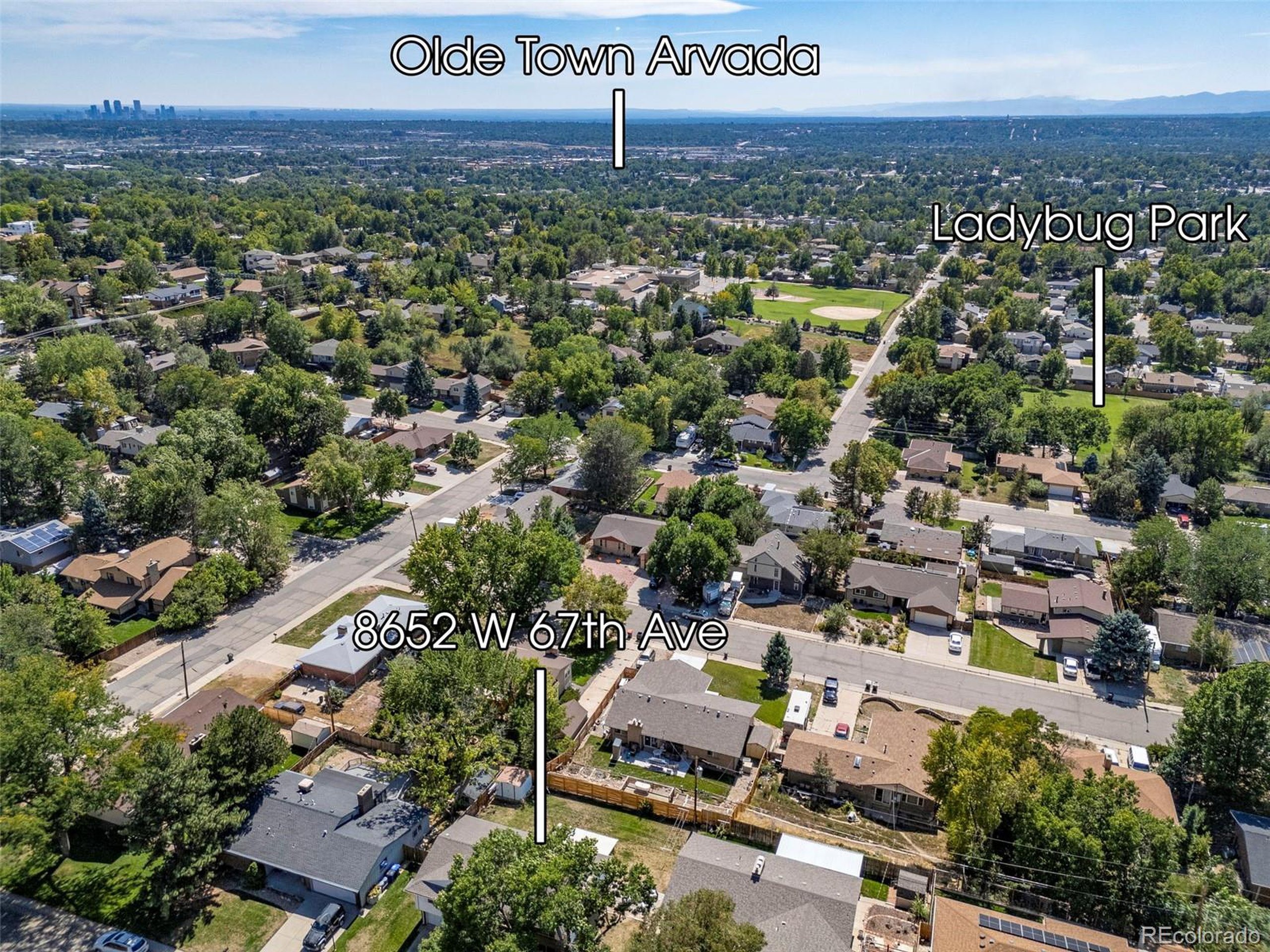 67th Ave, Arvada, CO 80004 #1