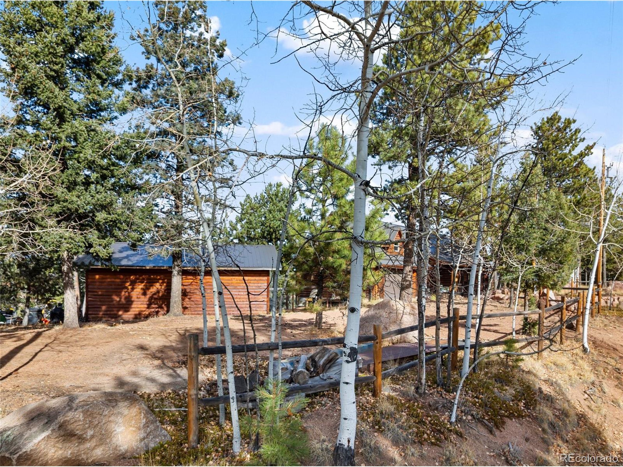Blue Spruce Rd, Divide, CO 80814 #1