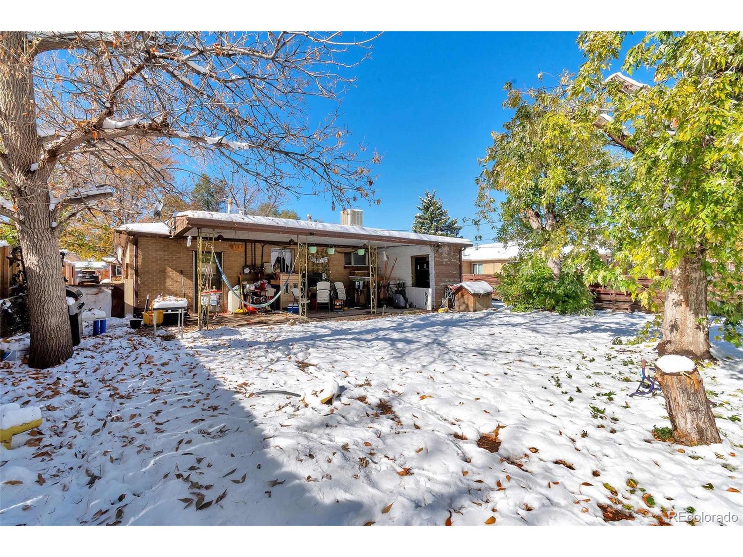 Ingalls St, Lakewood, CO 80226 #1