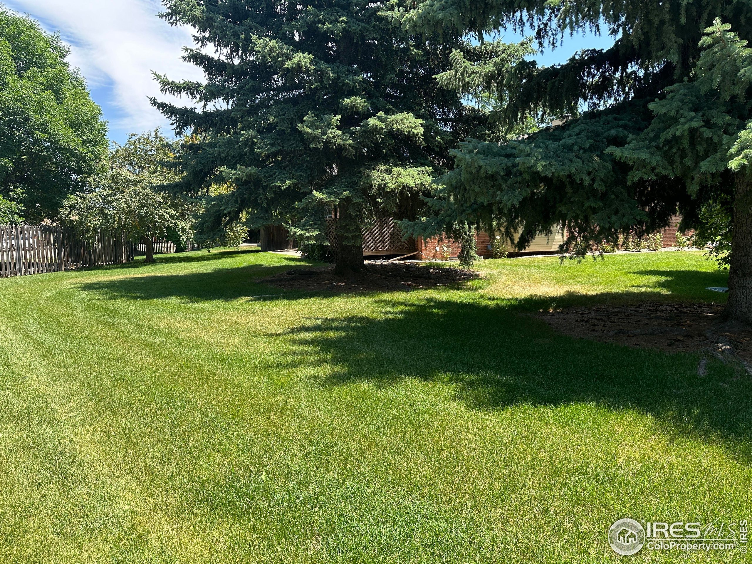 Arbor Ave, Fort Collins, CO 80526