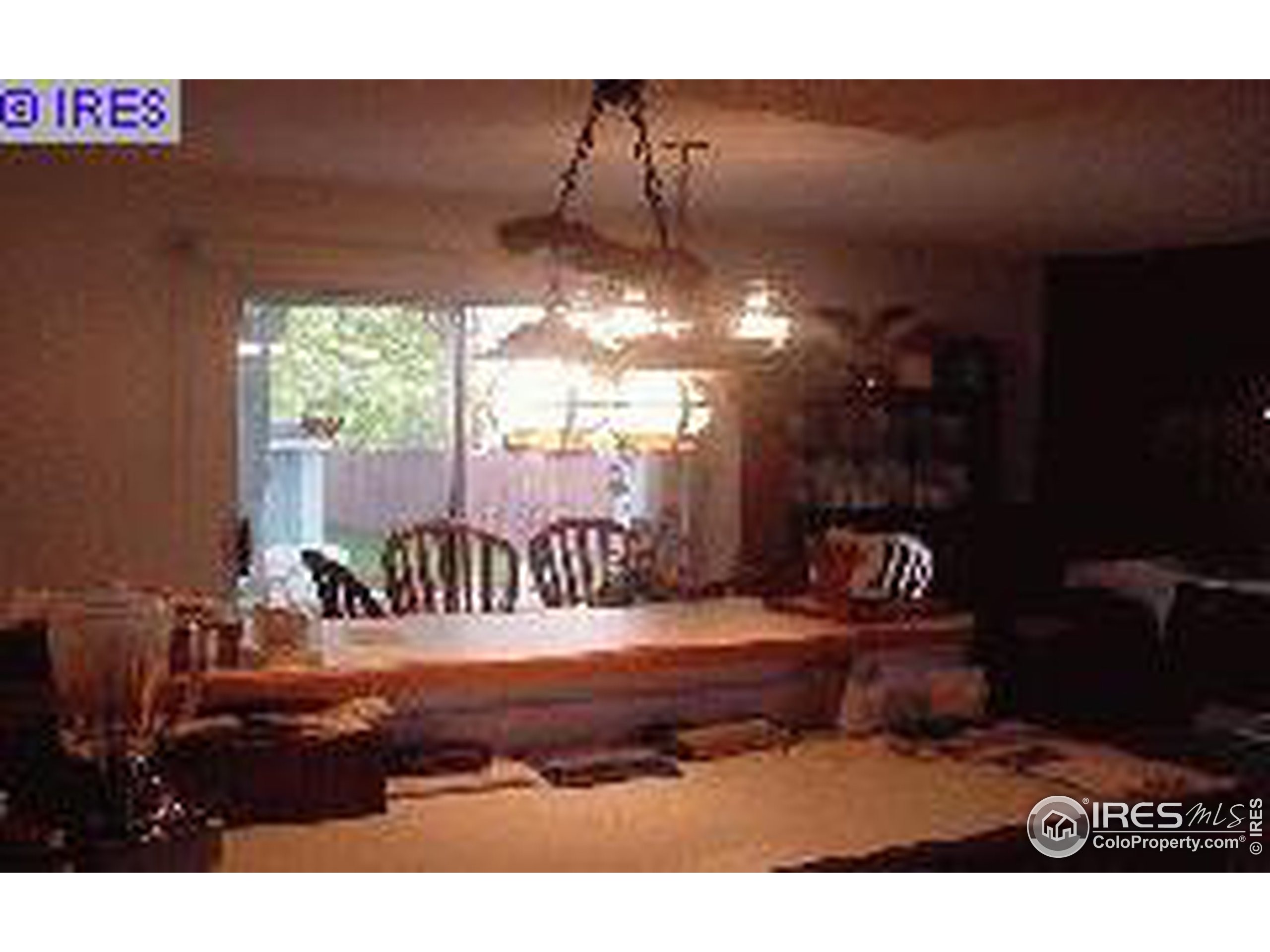 Wild Ln, Loveland, CO 80538 #1