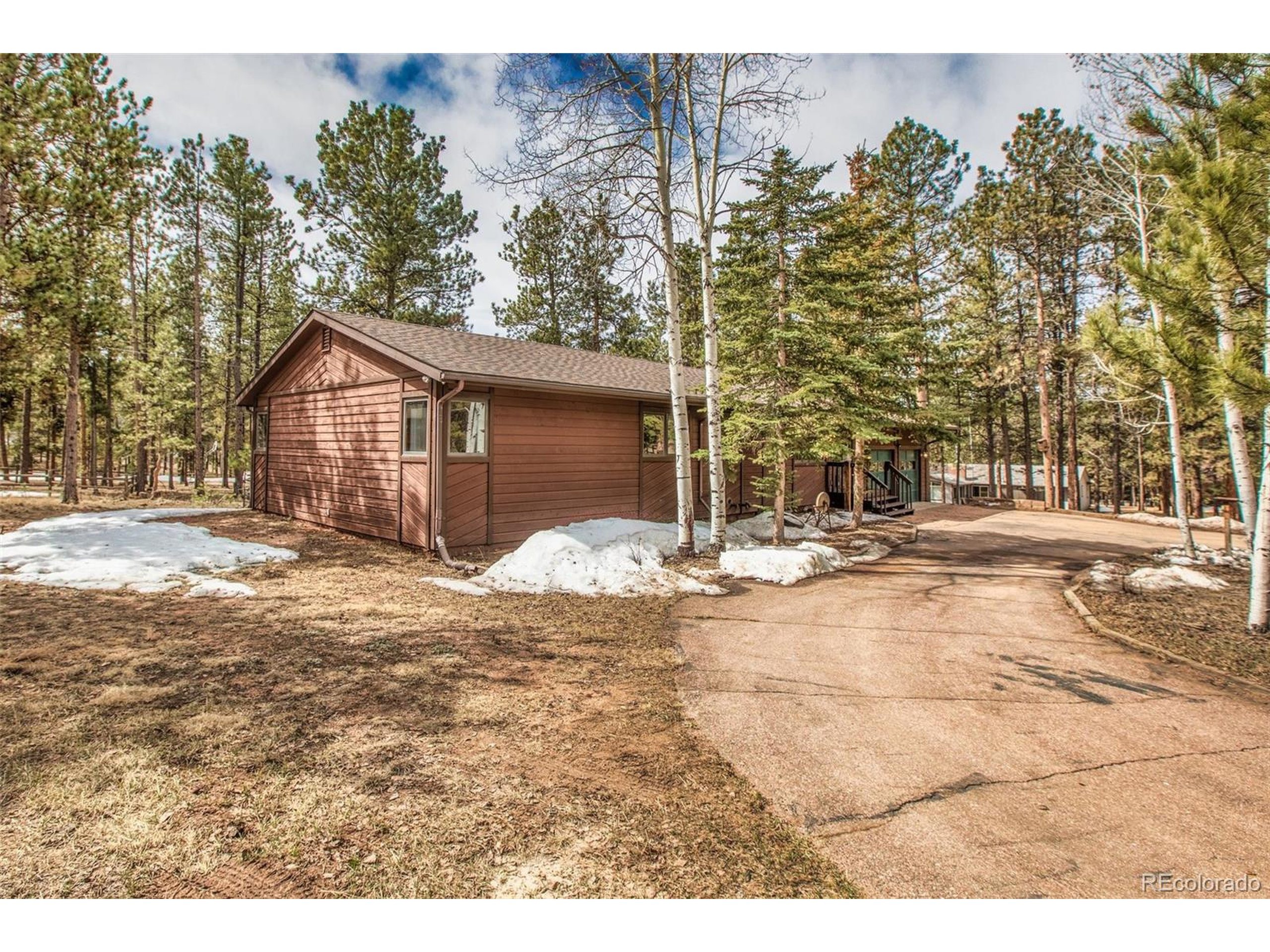Sunnywood Loop, Woodland Park, CO 80863 #1