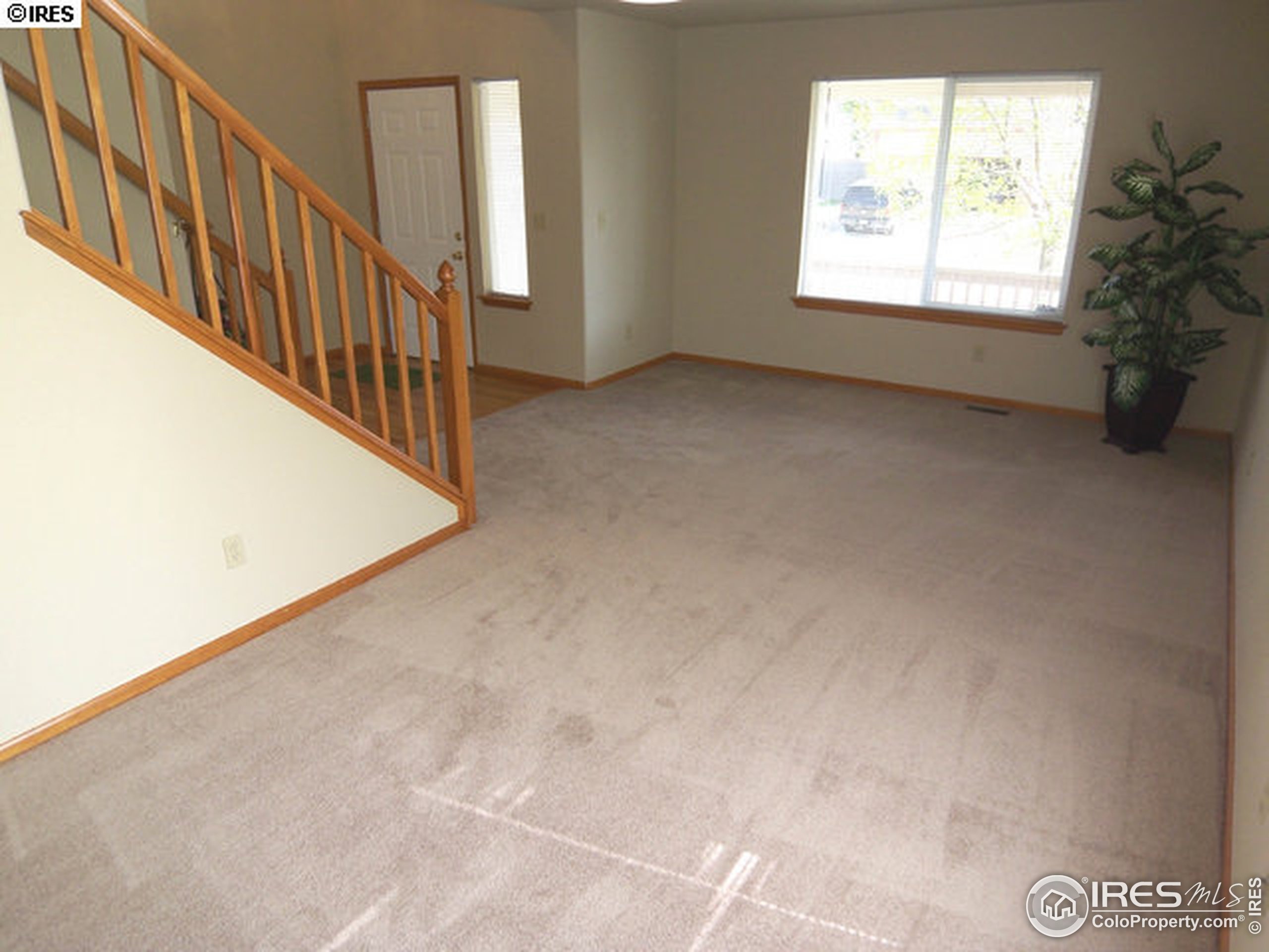 Pendleton Ave, Longmont, CO 80504 #1