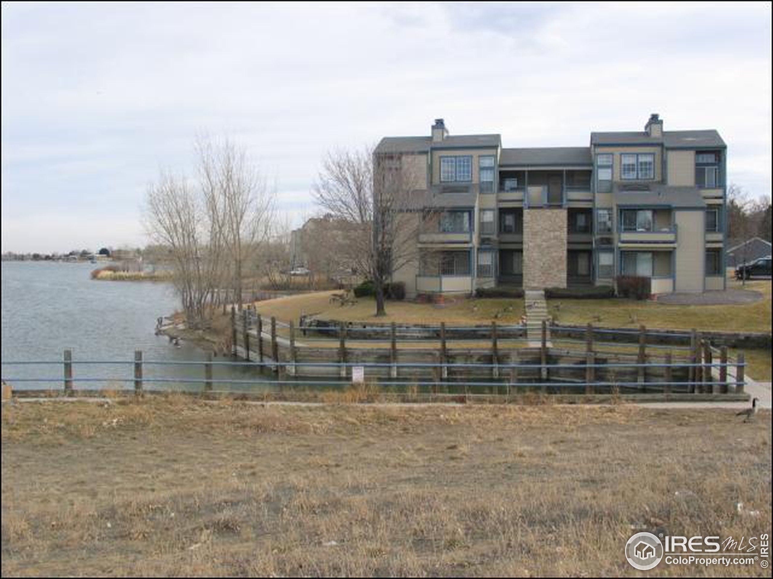 Zenobia St, Westminster, CO 80030 #1