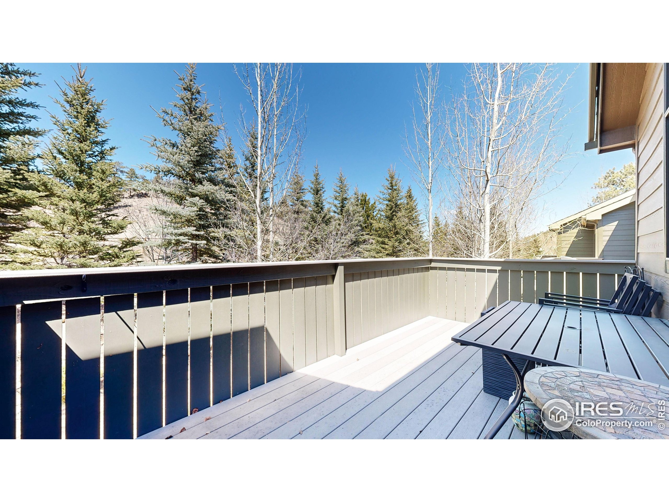Park River Pl, Estes Park, CO 80517 #1