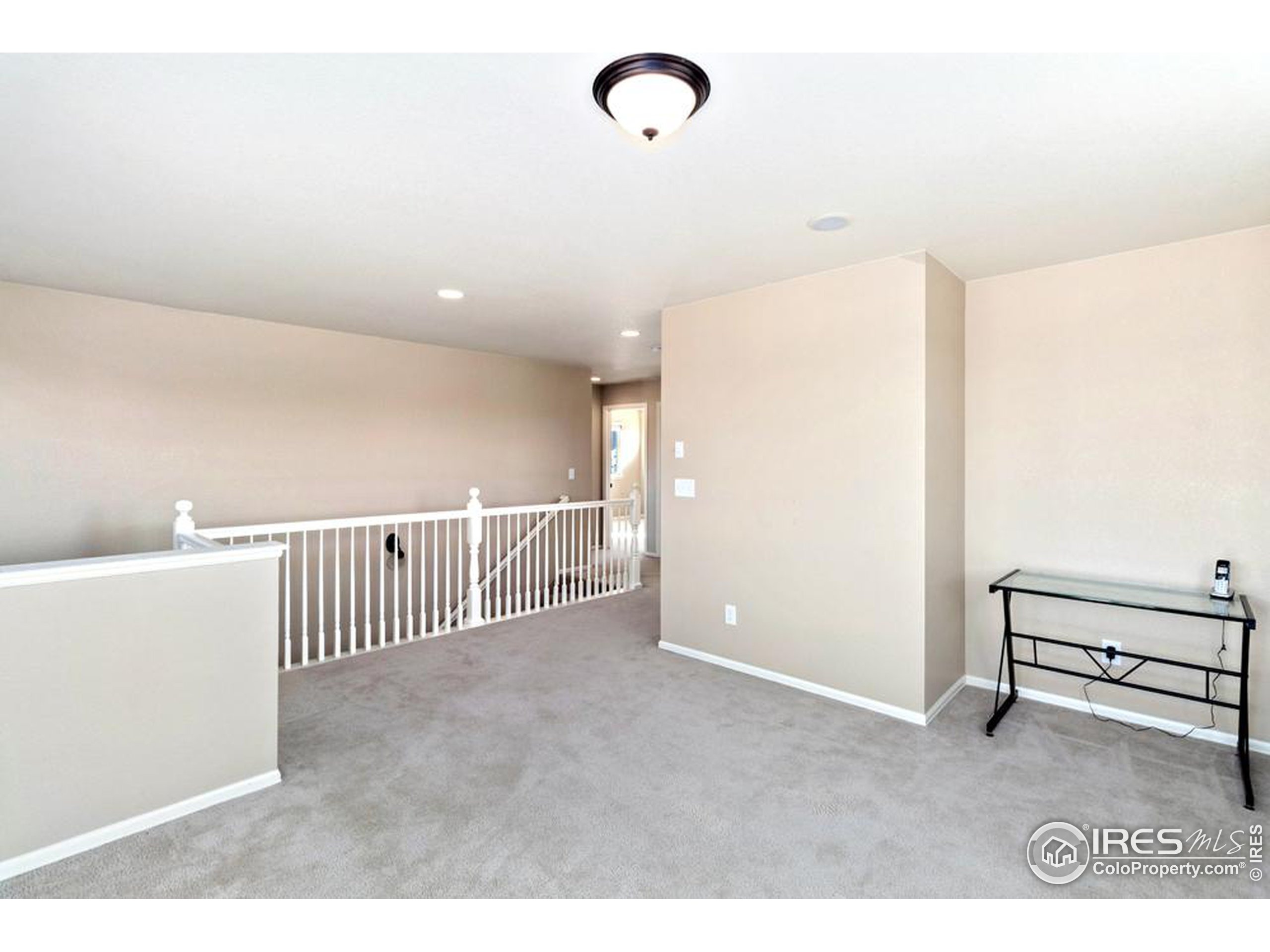 Maverick Ave, Timnath, CO 80547 #1