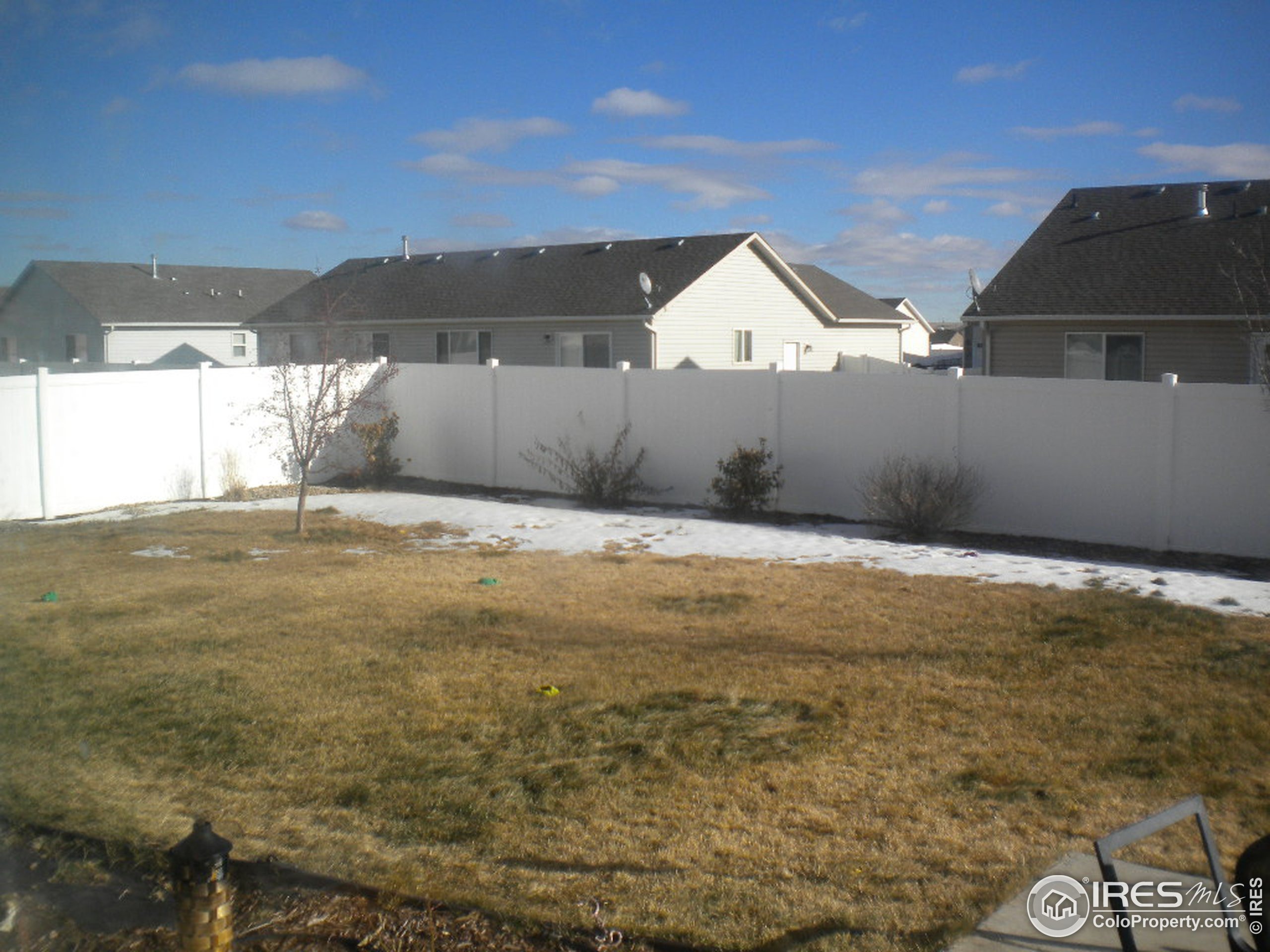 Carlyle Ln, Wellington, CO 80549