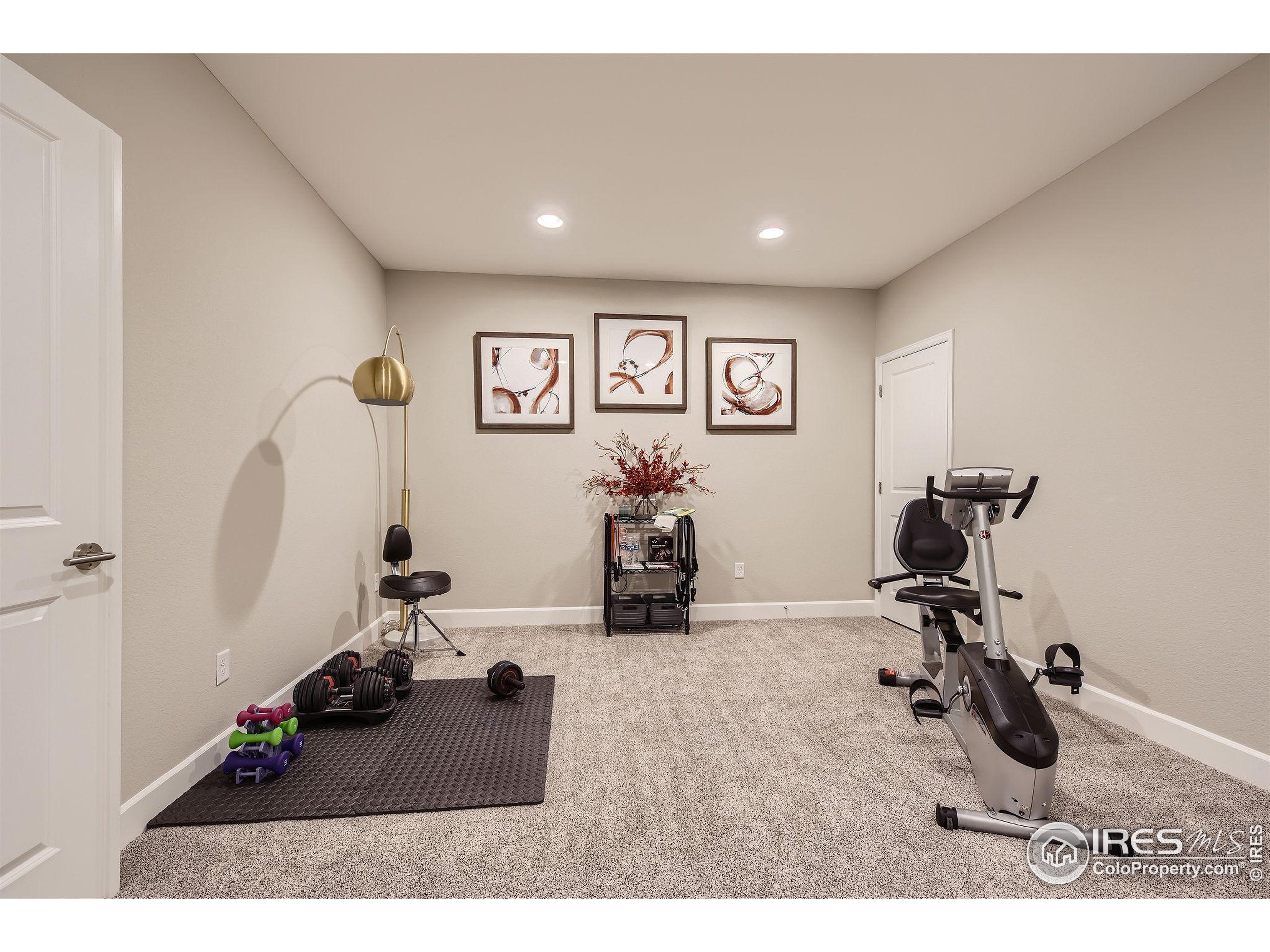 Leilani Dr, Castle Rock, CO 80108 #1