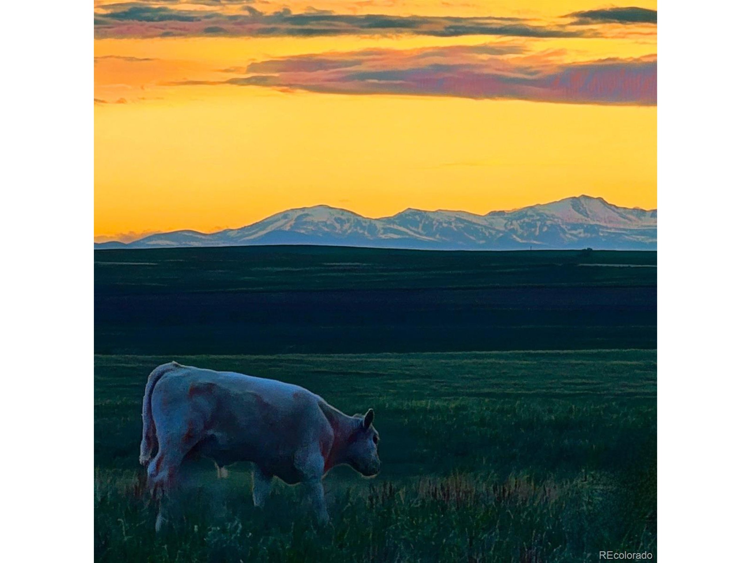 County Road 149 , Strasburg, CO 80136 #1