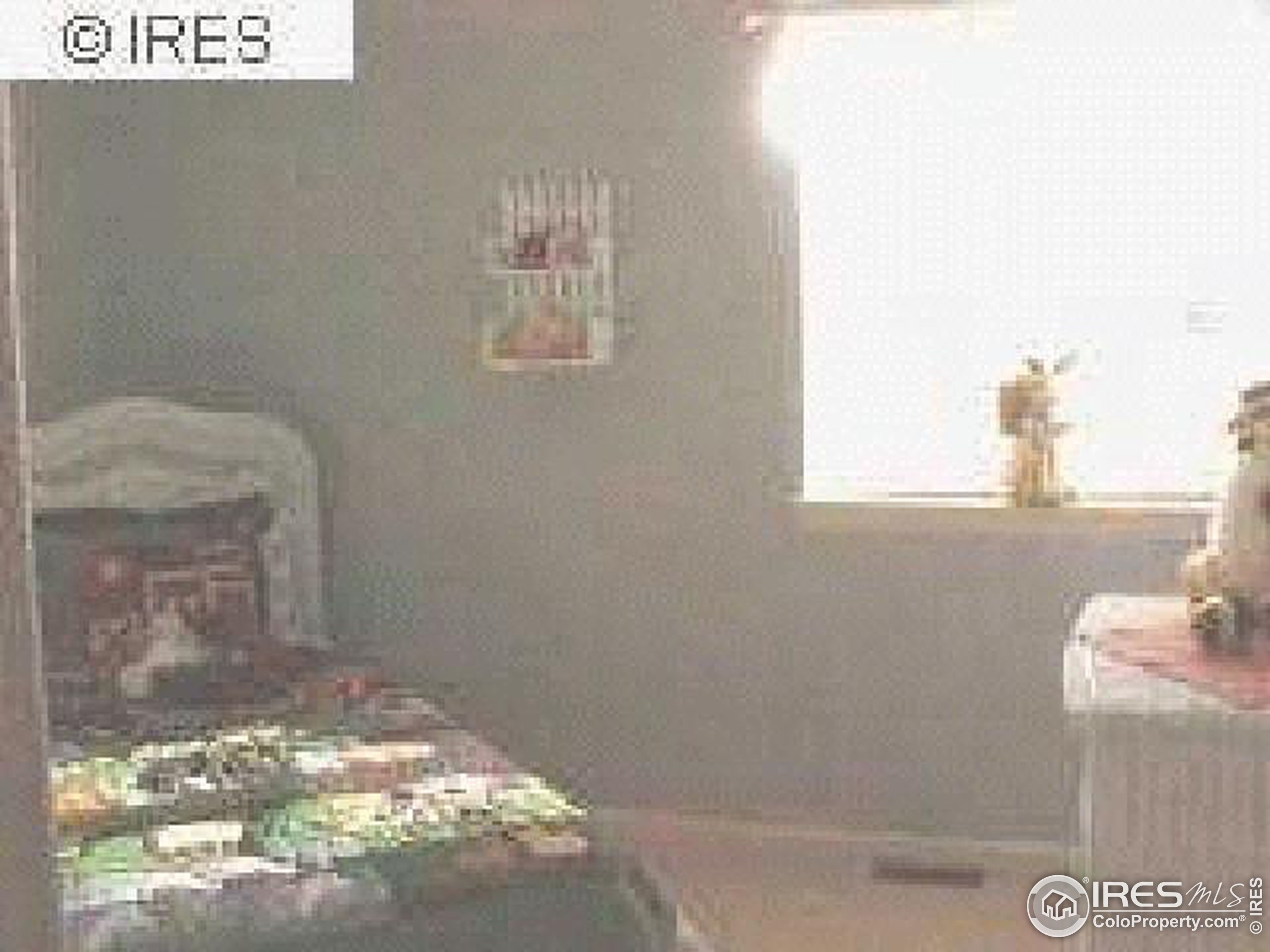 Elgin Ct, Fort Collins, CO 80524 #1