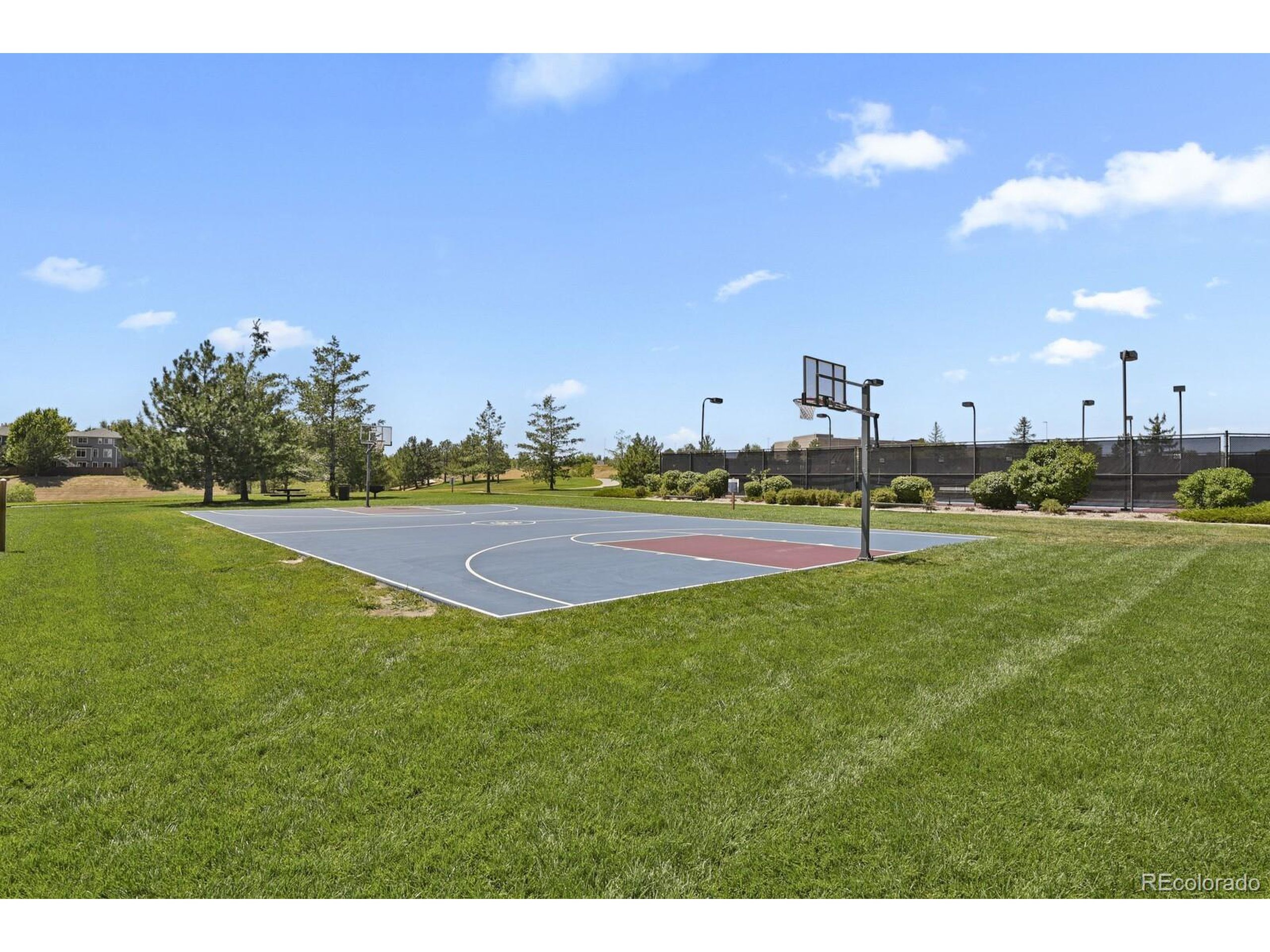Amison Cir, Parker, CO 80134 #1