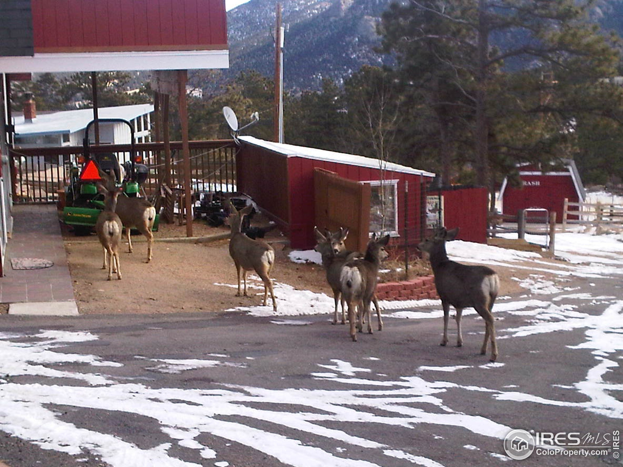 Little Prospect Rd, Estes Park, CO 80517